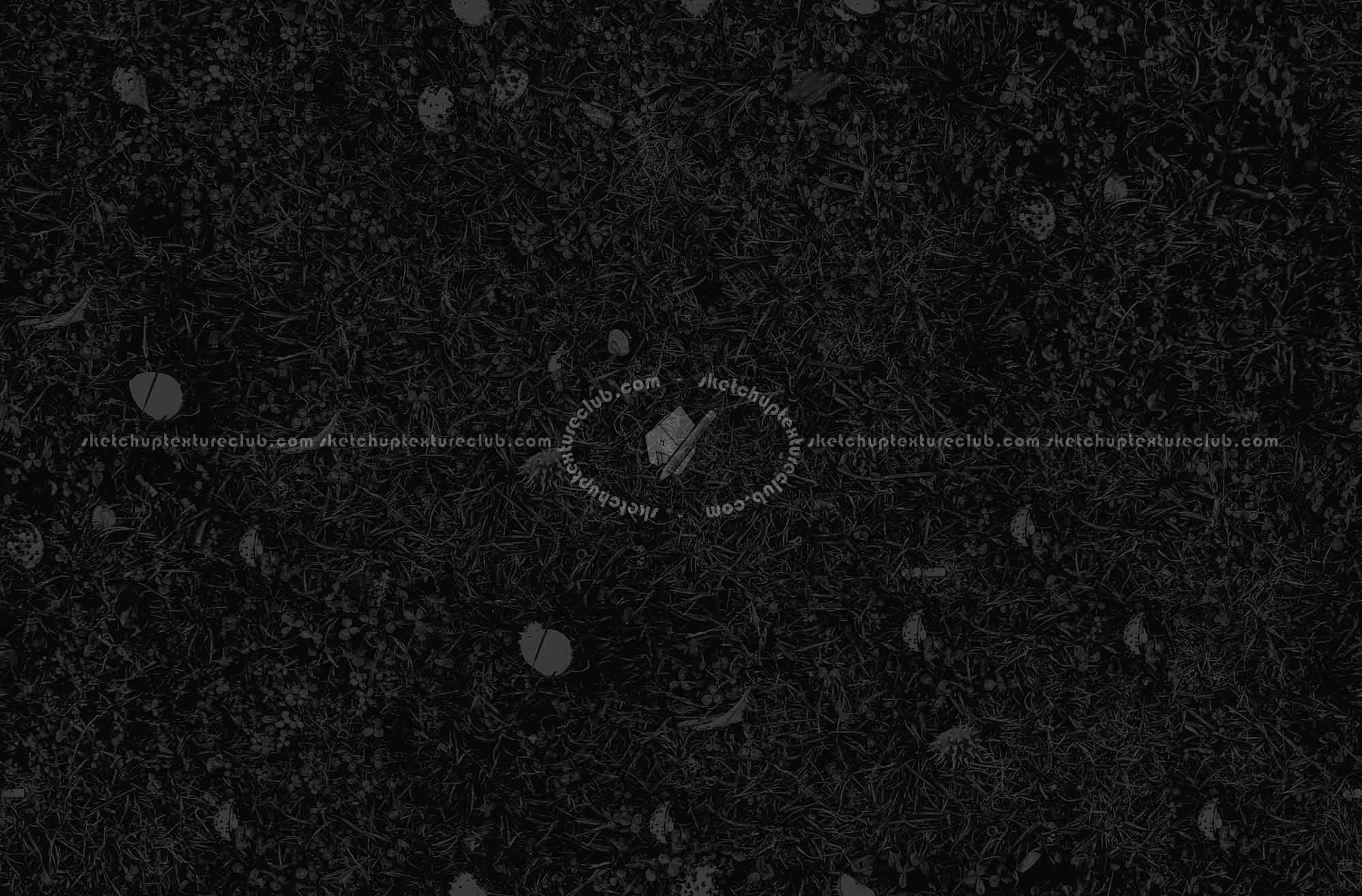 Textures   -   NATURE ELEMENTS   -   VEGETATION   -   Green grass  - Grass with chestnuts texture seamless 18246 - Specular