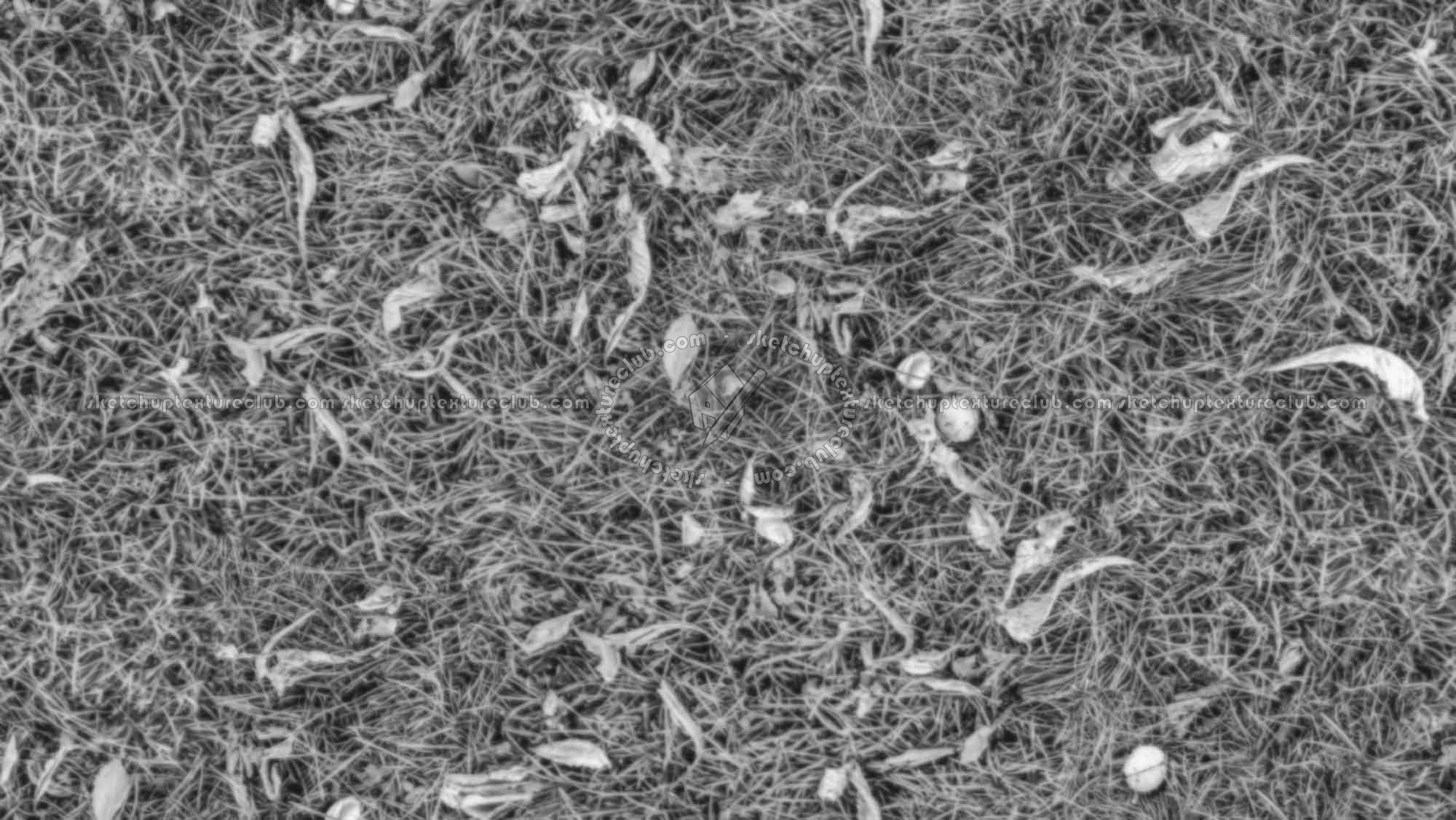 Textures   -   NATURE ELEMENTS   -   VEGETATION   -   Green grass  - Grass with dry leaves texture seamless 18247 - Displacement