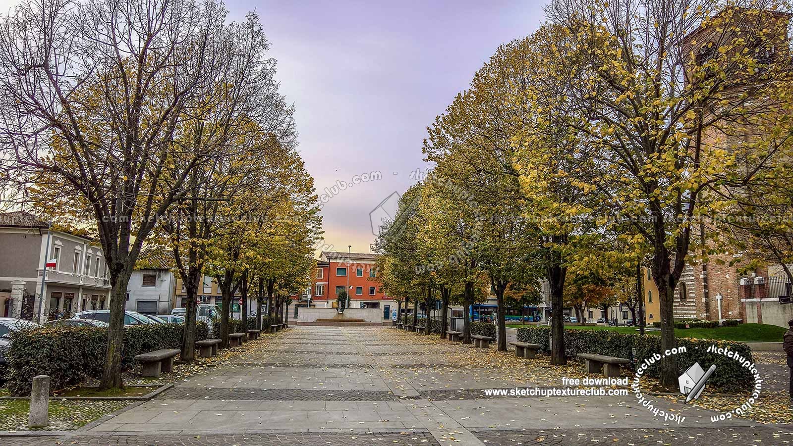 Textures - BACKGROUNDS & LANDSCAPES - CITY & TOWNS - Landscape with tree lined avenue hdr 20992