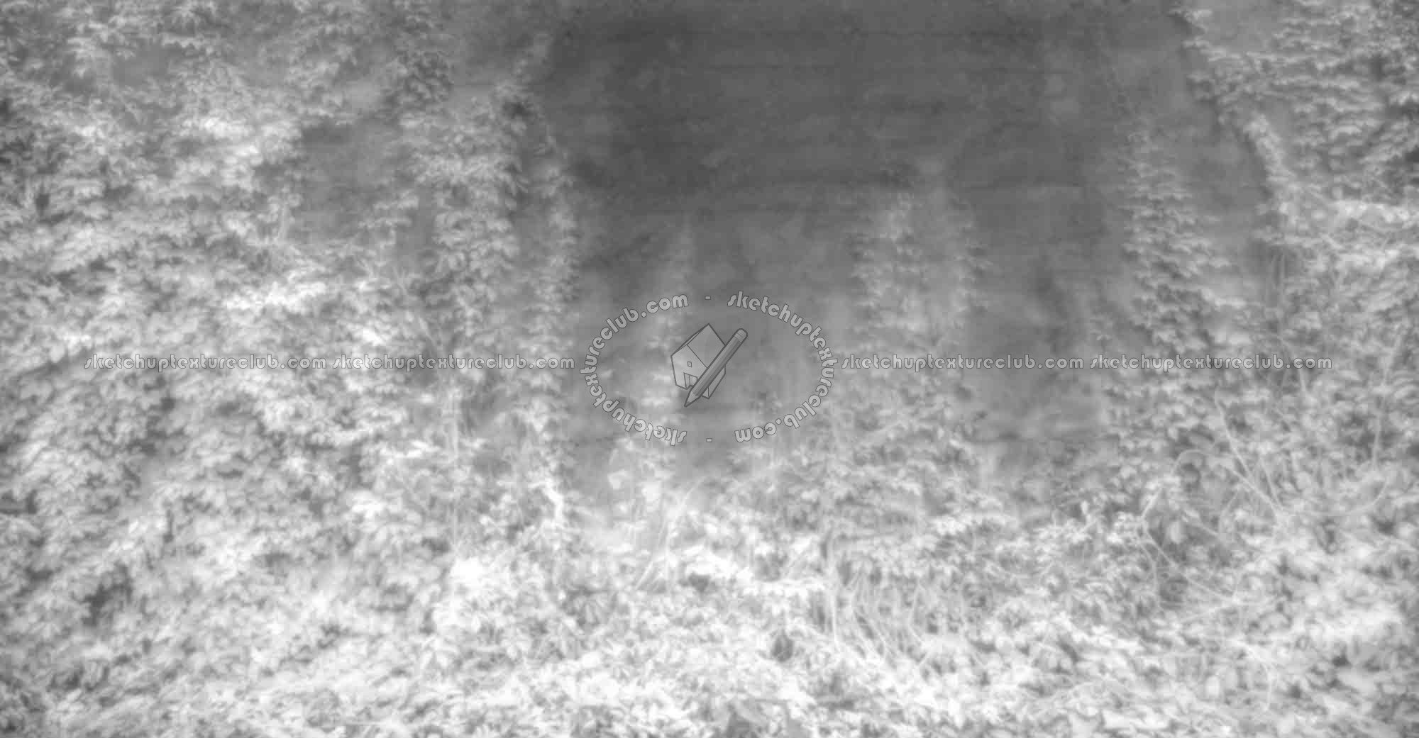 Textures   -   ARCHITECTURE   -   CONCRETE   -   Plates   -   Dirty  - Dirt concrete plates wall with wild creeper texture horizontal seamless 19272 - Displacement