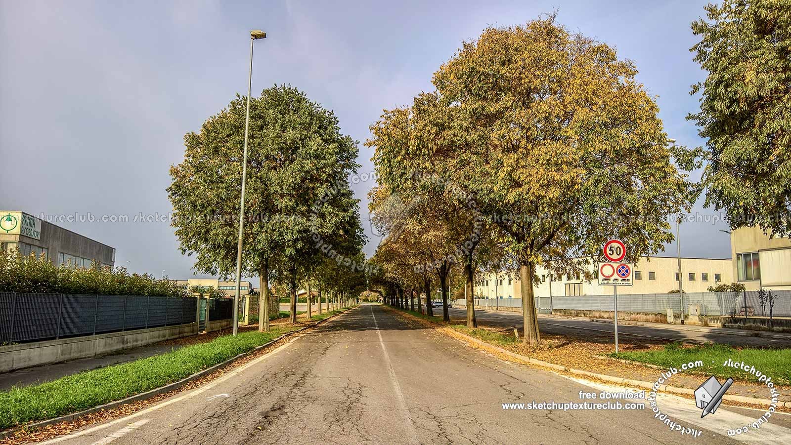 Textures   -   BACKGROUNDS & LANDSCAPES   -   CITY & TOWNS  - Landscape with tree lined avenue hdr 20993