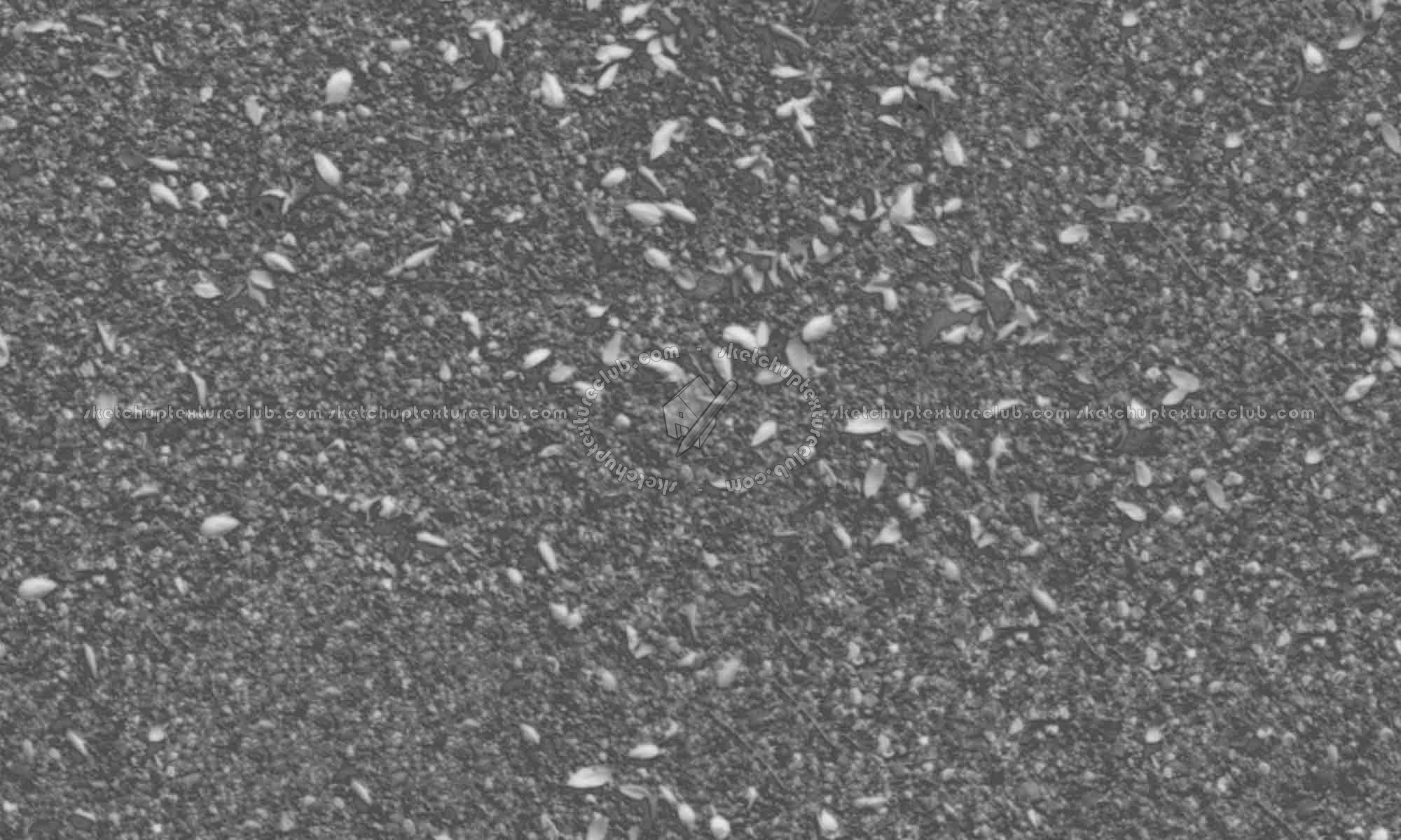 Textures   -   ARCHITECTURE   -   ROADS   -   Asphalt  - Asphalt with dead leaves texture seamless 18729 - Displacement