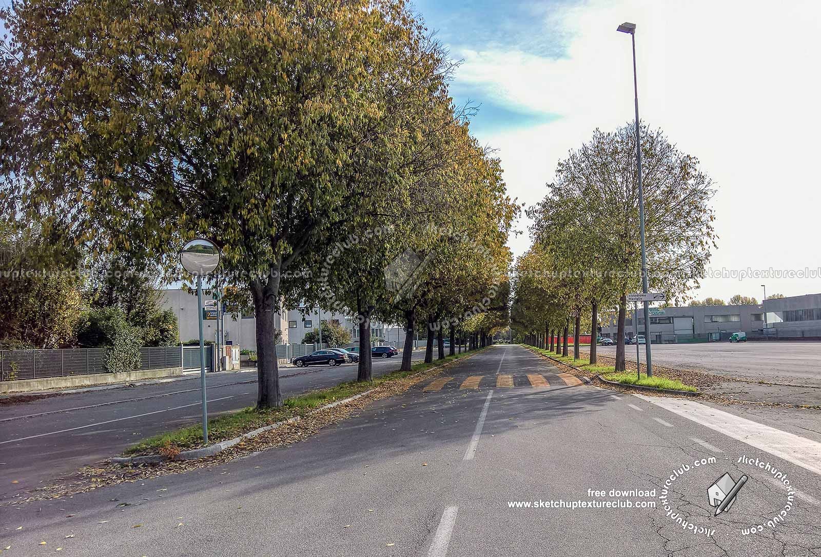 Textures   -   BACKGROUNDS &amp; LANDSCAPES   -   CITY &amp; TOWNS  - Landscape with tree lined avenue hdr 20995
