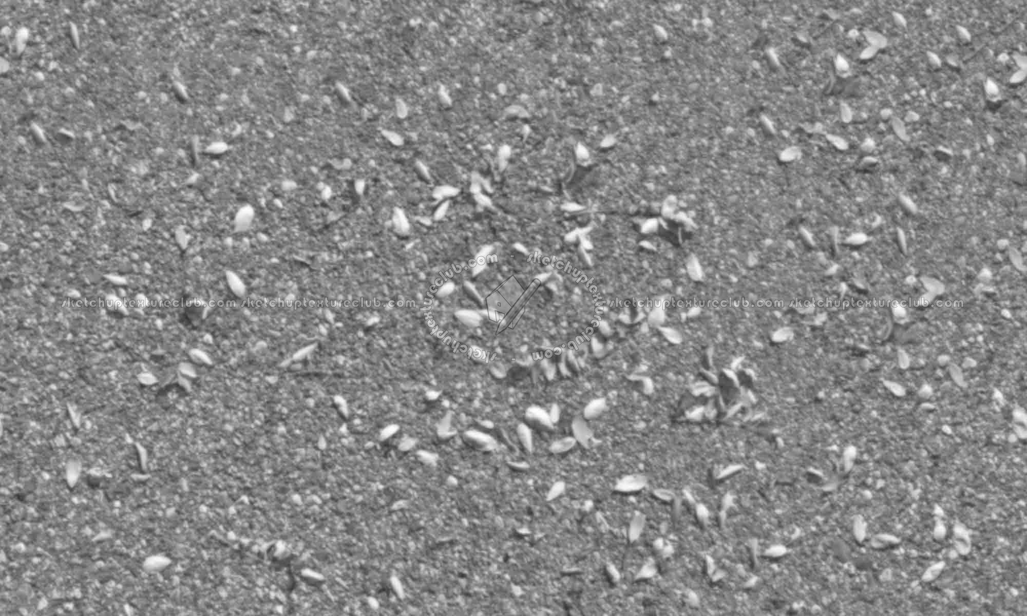 Textures   -   ARCHITECTURE   -   ROADS   -   Asphalt  - Asphalt with dead leaves texture seamless 18730 - Displacement