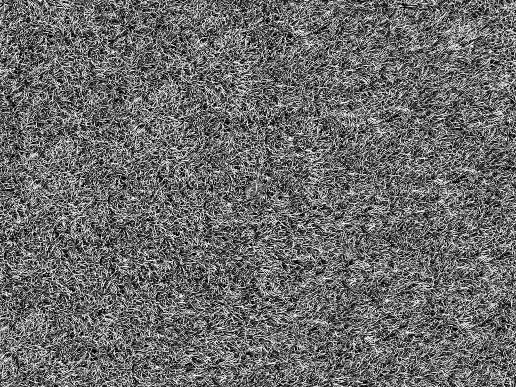 Textures   -   NATURE ELEMENTS   -   VEGETATION   -   Green grass  - Green synthetic grass texture seamless 18714 - Bump