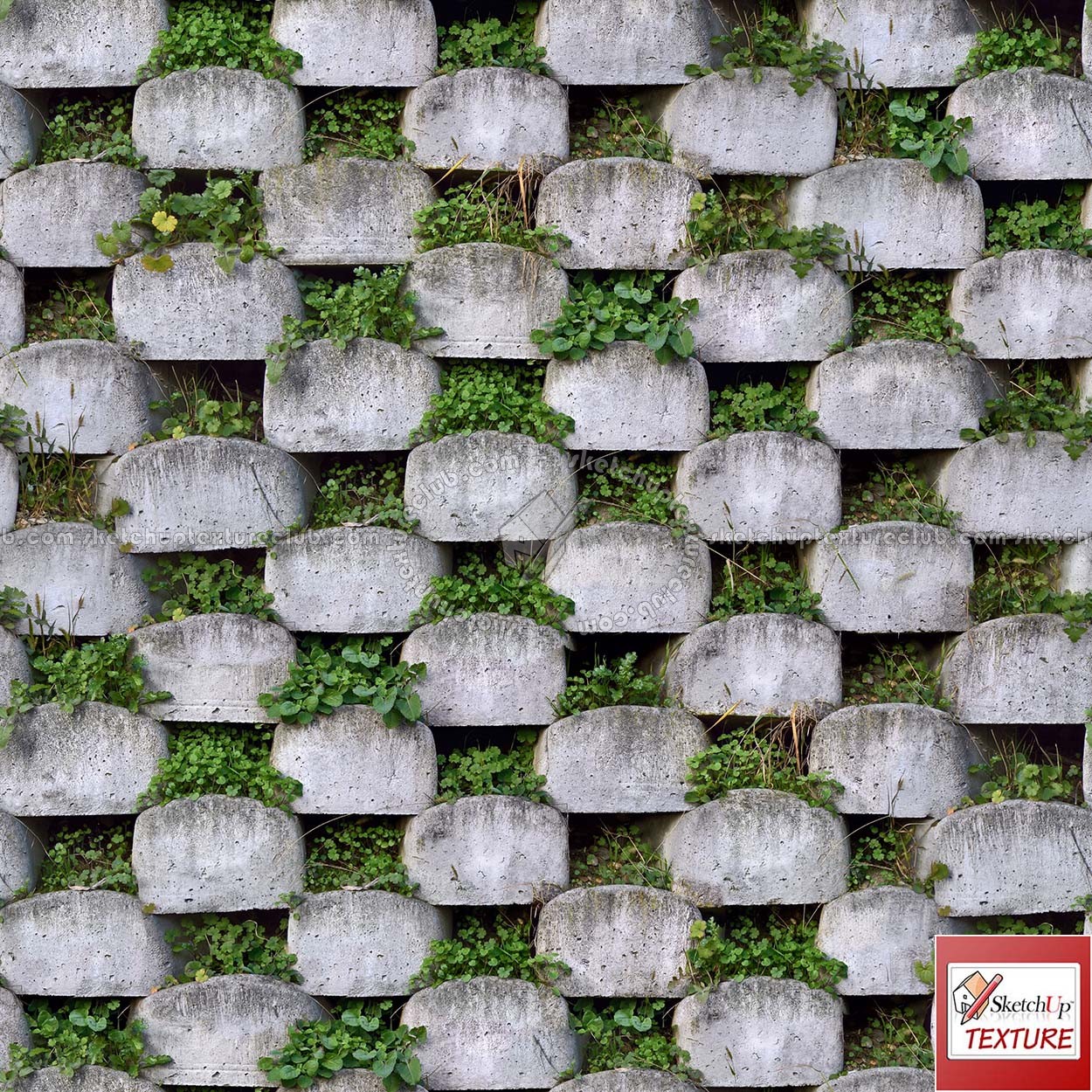 Textures   -   ARCHITECTURE   -   CONCRETE   -   Plates   -   Clean  - Concrete retaining wall with grass texture seamless 20108 (seamless)