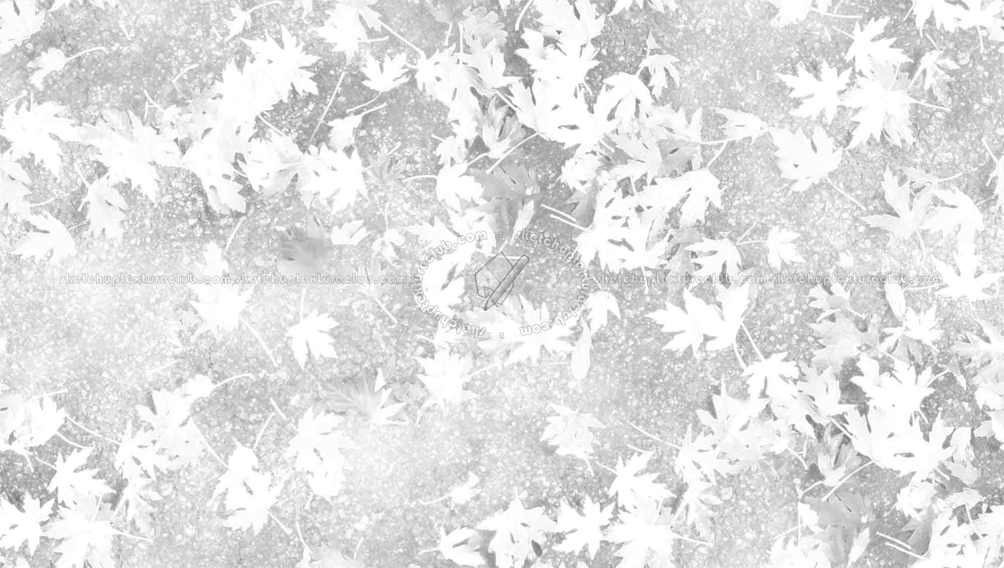 Textures   -   ARCHITECTURE   -   ROADS   -   Asphalt  - Asphalt with dead leaves texture seamless 19288 - Ambient occlusion
