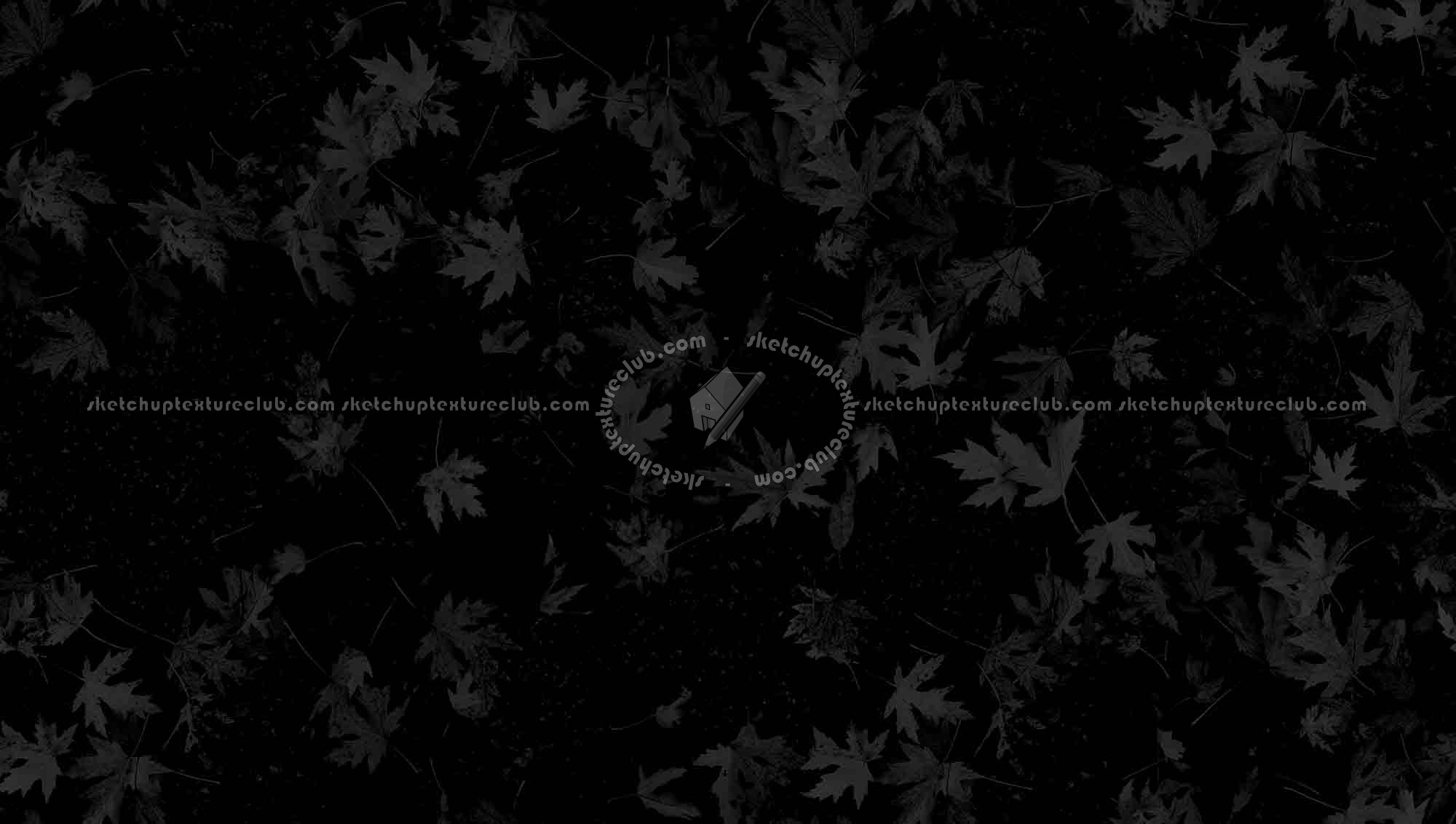 Textures   -   ARCHITECTURE   -   ROADS   -   Asphalt  - Asphalt with dead leaves texture seamless 19288 - Specular