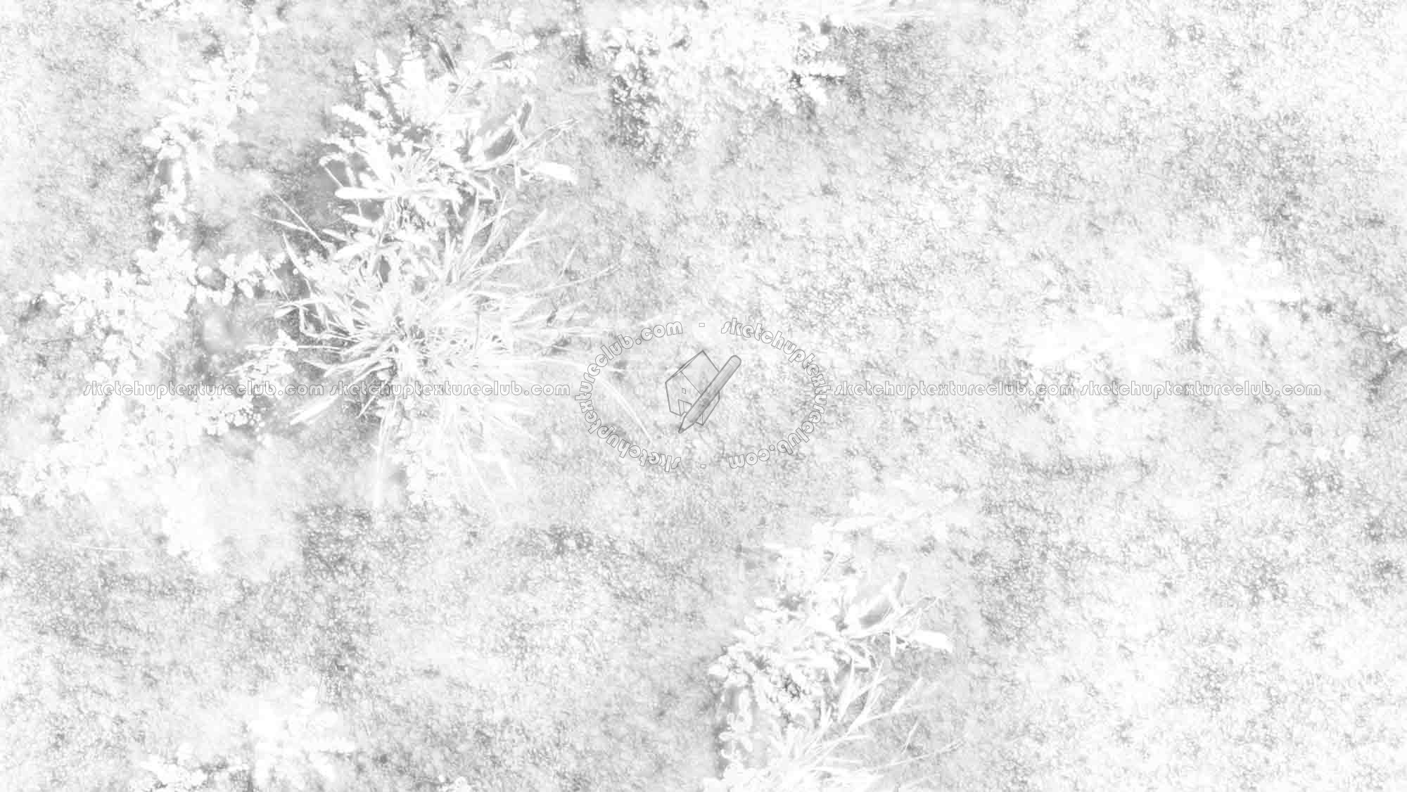 Textures   -   ARCHITECTURE   -   ROADS   -   Asphalt  - Asphalt with grass texture seamless 21204 - Ambient occlusion