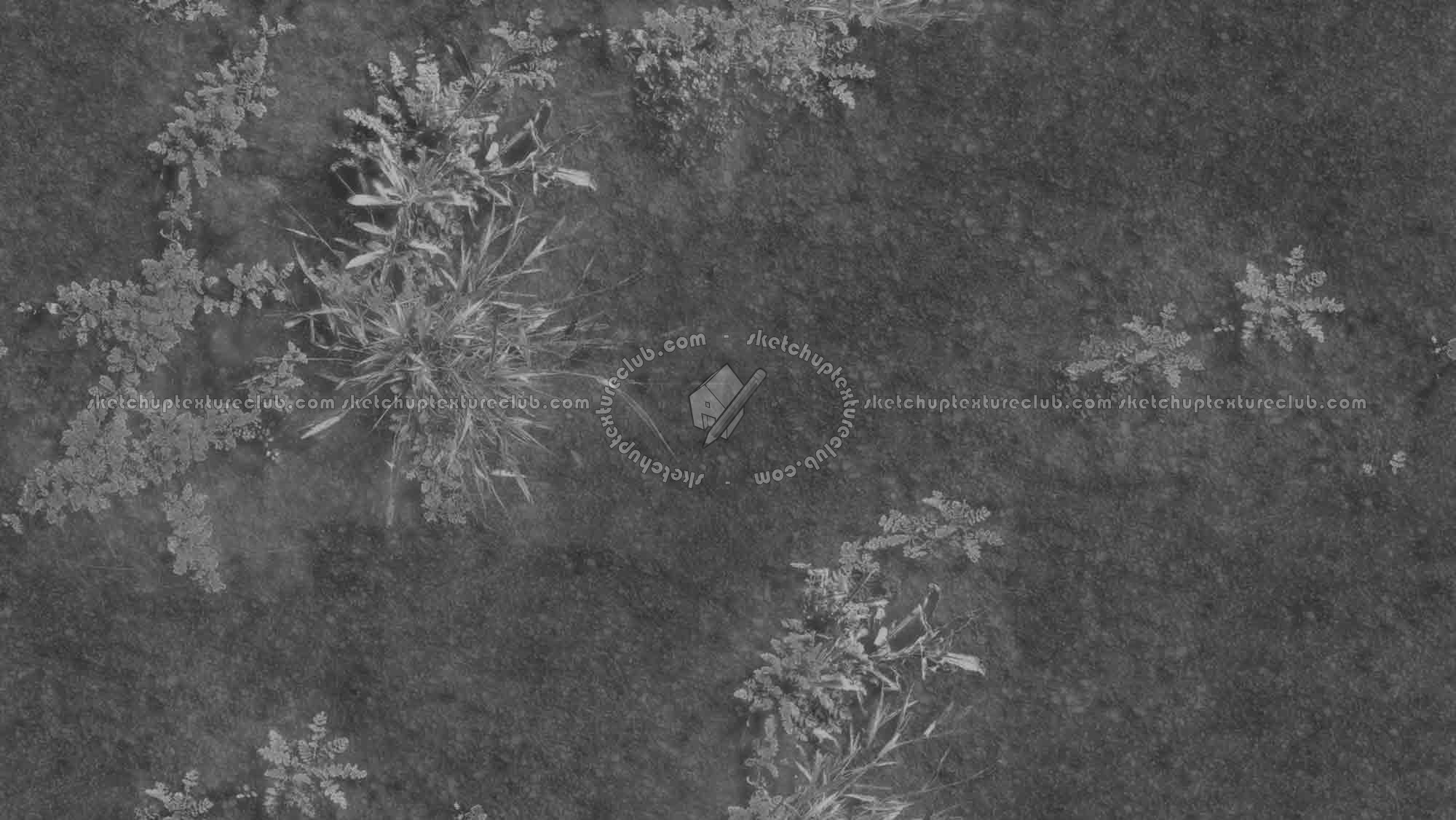 Textures   -   ARCHITECTURE   -   ROADS   -   Asphalt  - Asphalt with grass texture seamless 21204 - Displacement