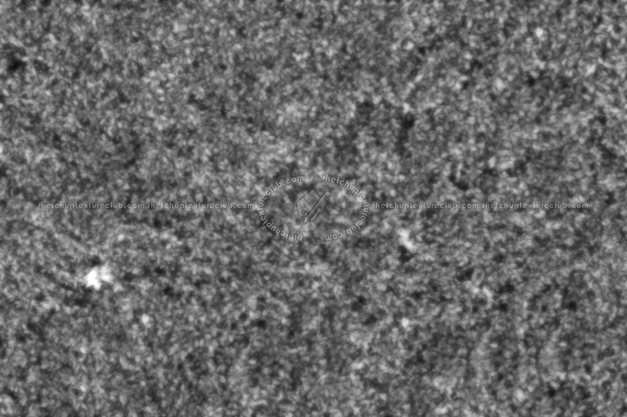 Textures   -   NATURE ELEMENTS   -   VEGETATION   -   Green grass  - Fat grass texture seamless 18844 - Displacement