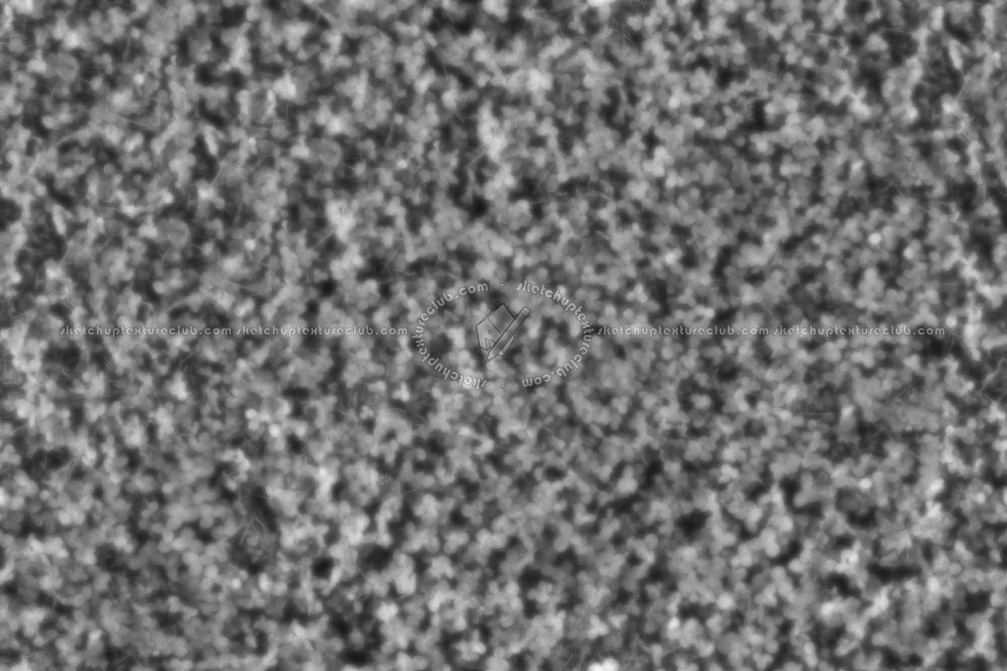 Textures   -   NATURE ELEMENTS   -   VEGETATION   -   Green grass  - Clover grass texture seamless 18847 - Displacement