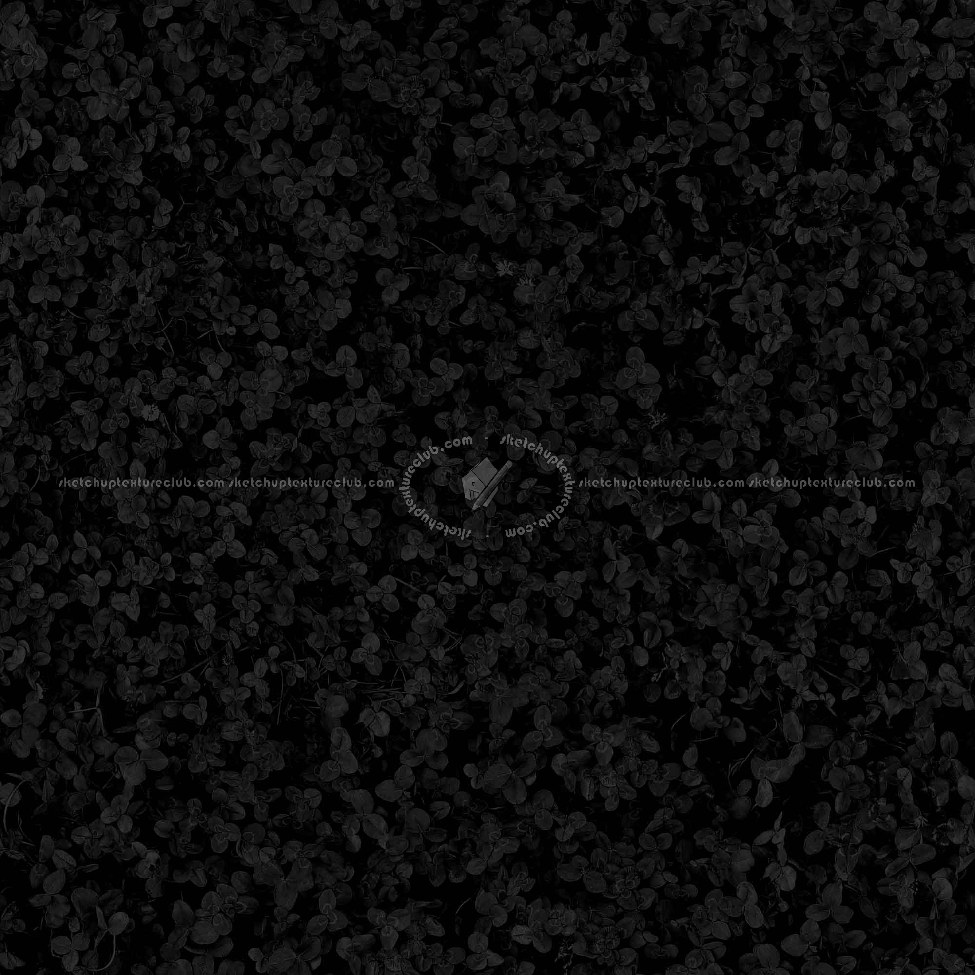 Textures   -   NATURE ELEMENTS   -   VEGETATION   -   Green grass  - Clover grass texture seamless 18848 - Specular