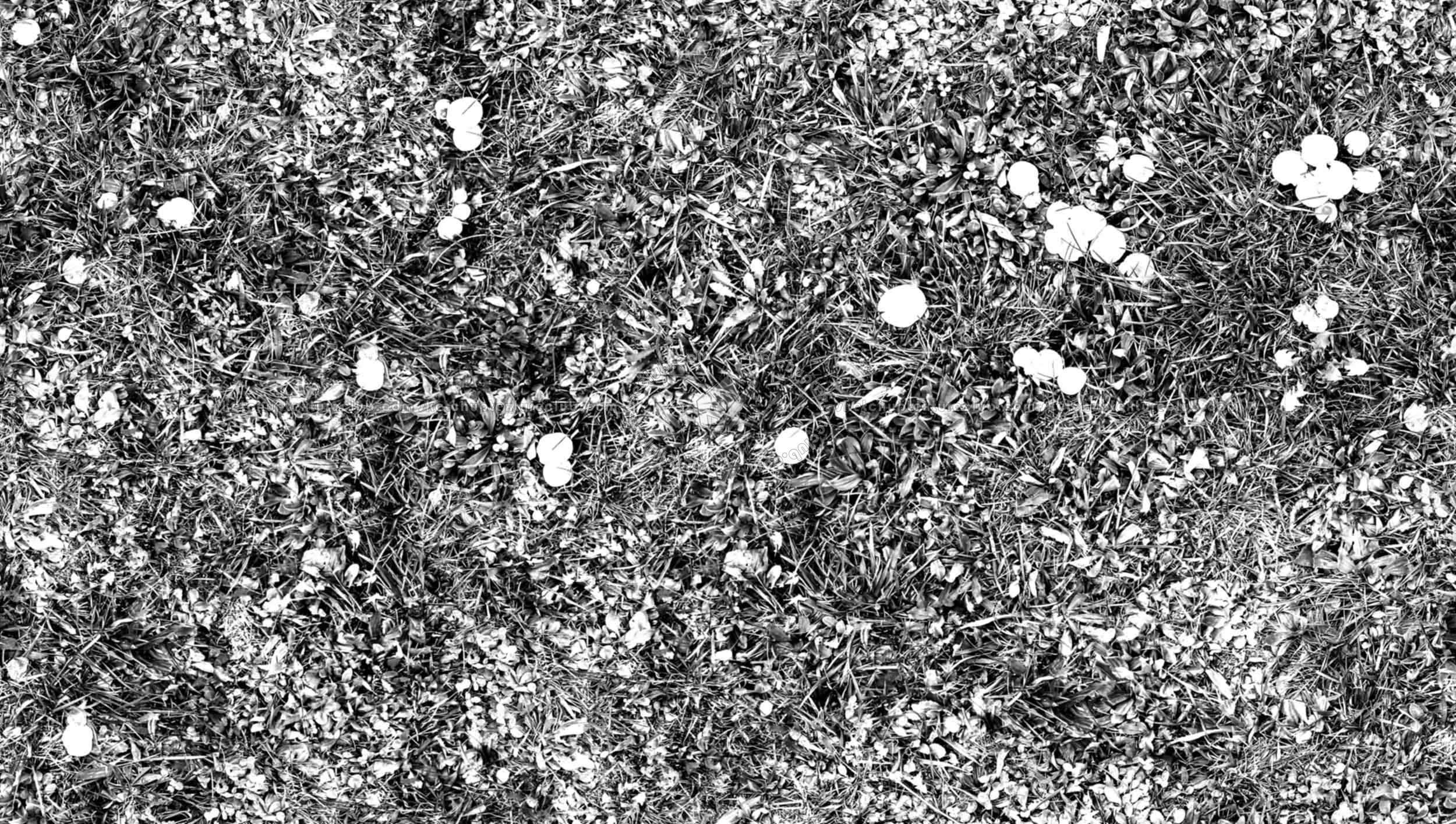 Textures   -   NATURE ELEMENTS   -   VEGETATION   -   Green grass  - Green grass with mushrooms texture seamless 19276 - Bump