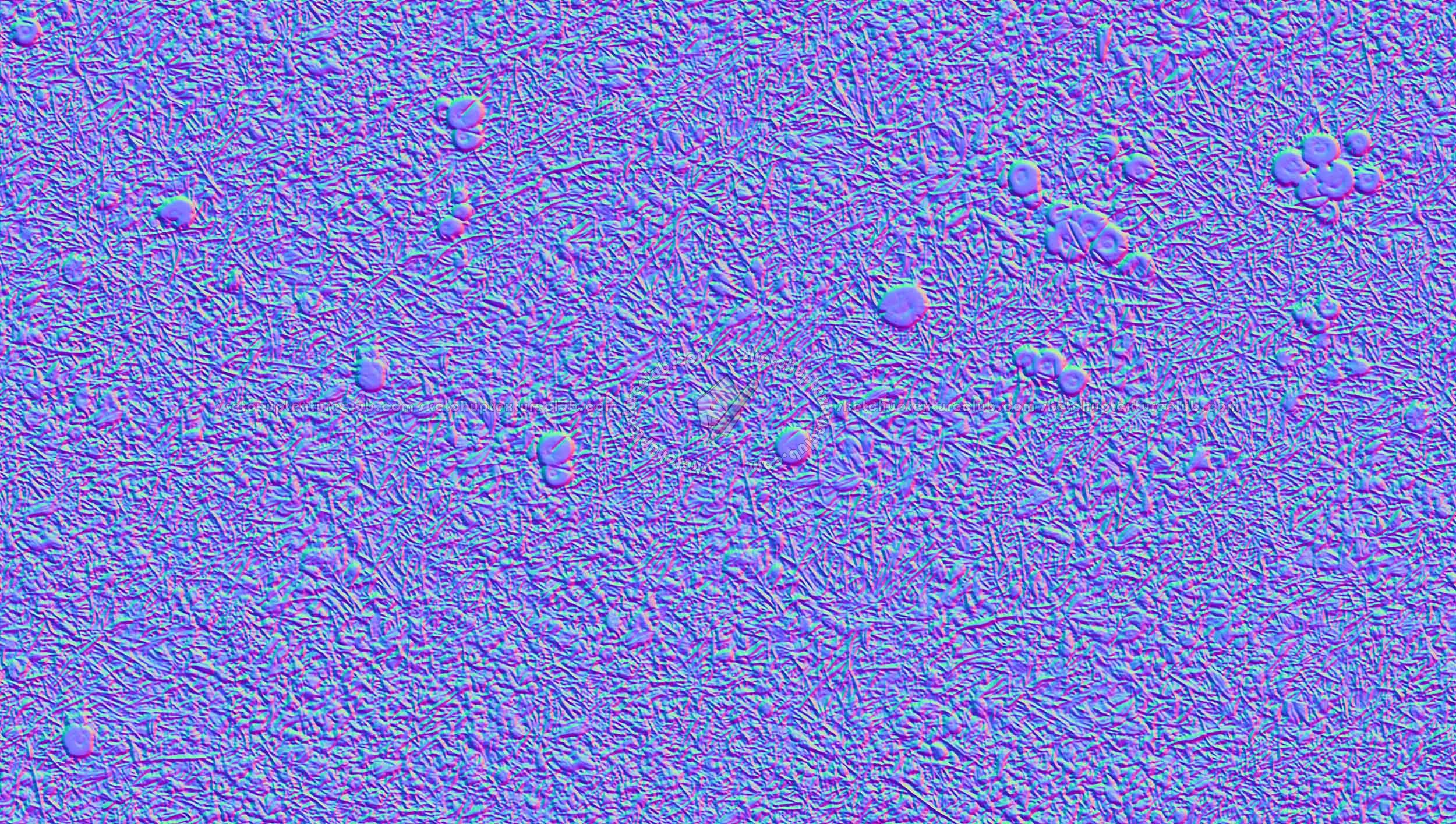 Textures   -   NATURE ELEMENTS   -   VEGETATION   -   Green grass  - Green grass with mushrooms texture seamless 19276 - Normal