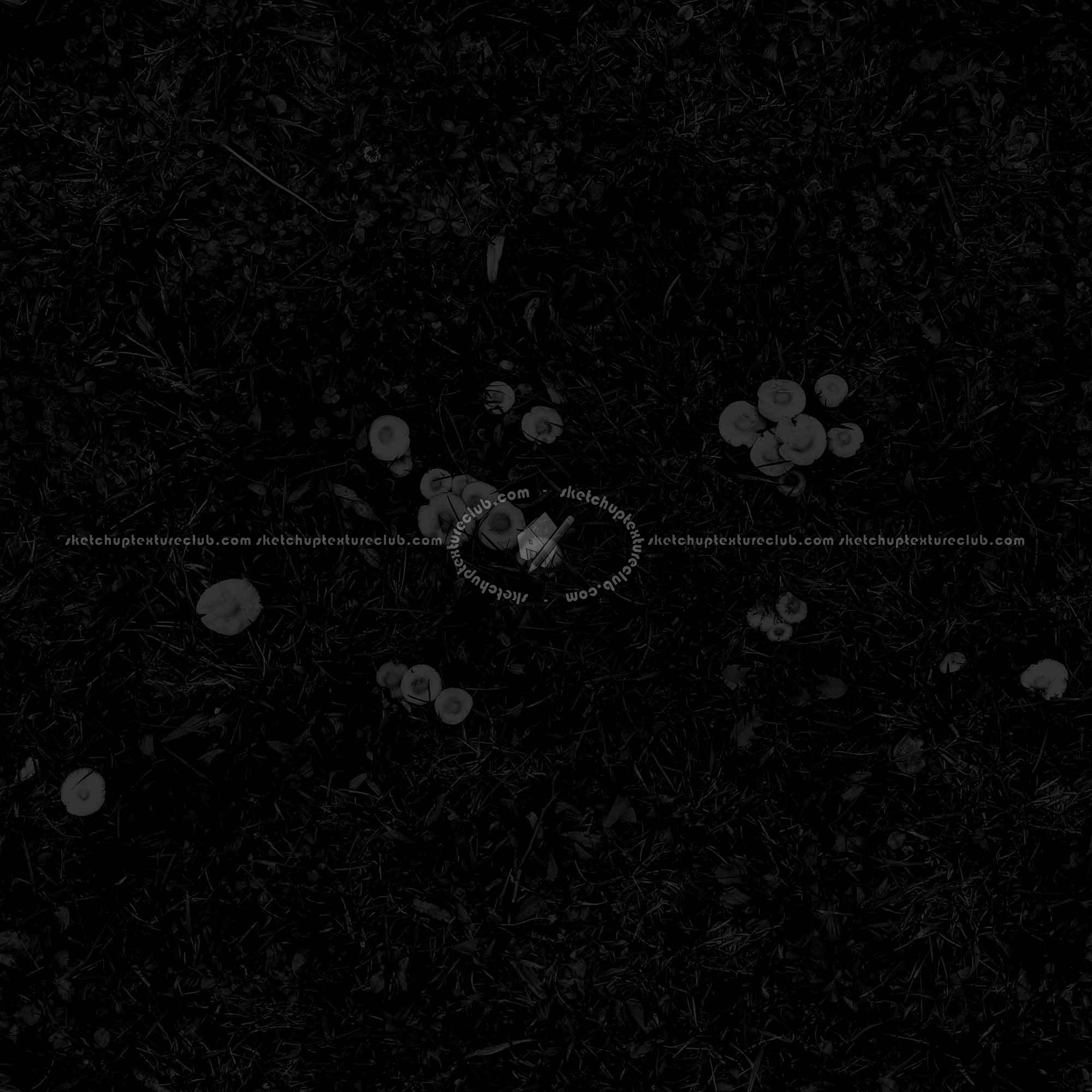 Textures   -   NATURE ELEMENTS   -   VEGETATION   -   Green grass  - Green grass with mushrooms texture seamless 19277 - Specular