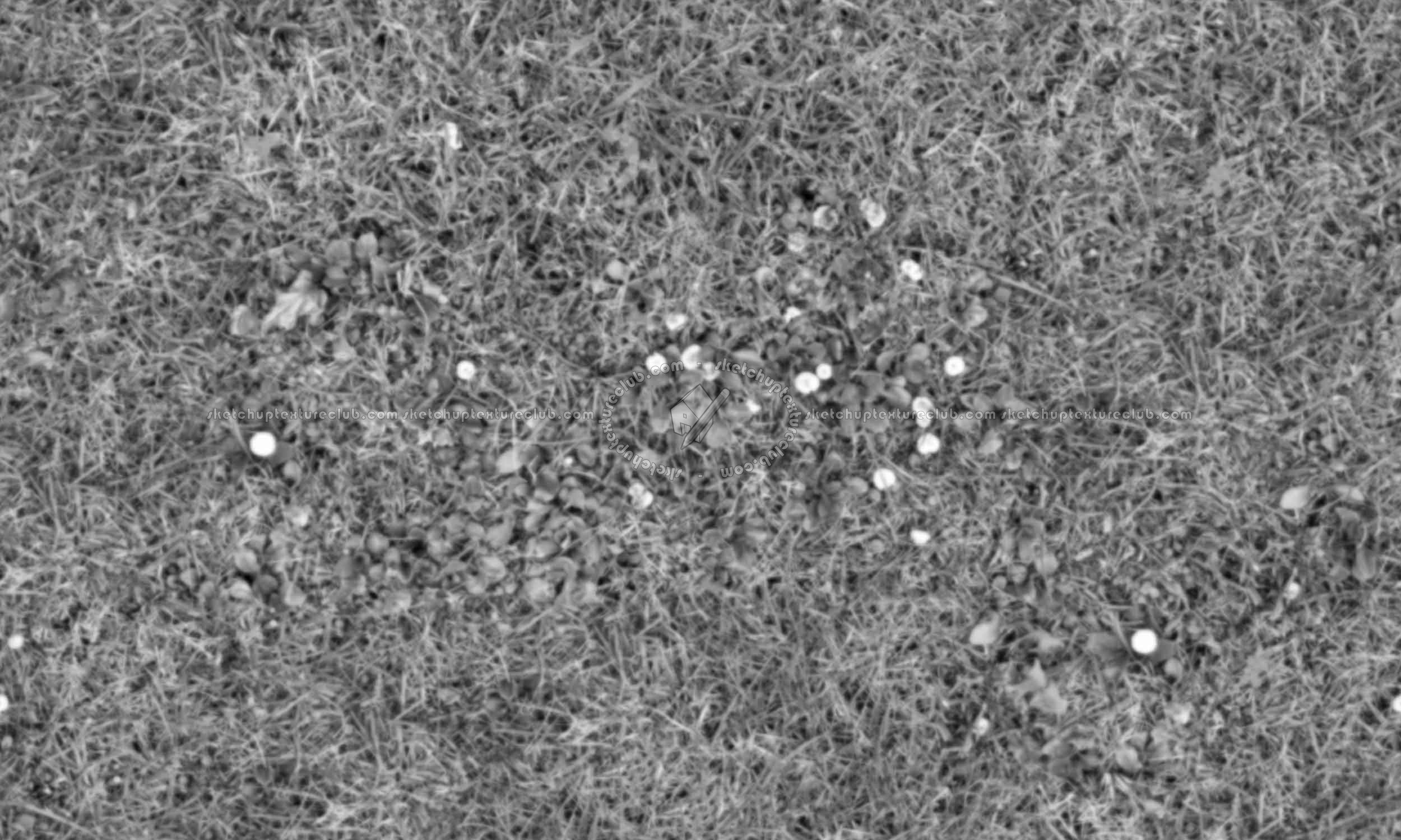 Textures   -   NATURE ELEMENTS   -   VEGETATION   -   Green grass  - Green grass with mushrooms texture seamless 19278 - Displacement