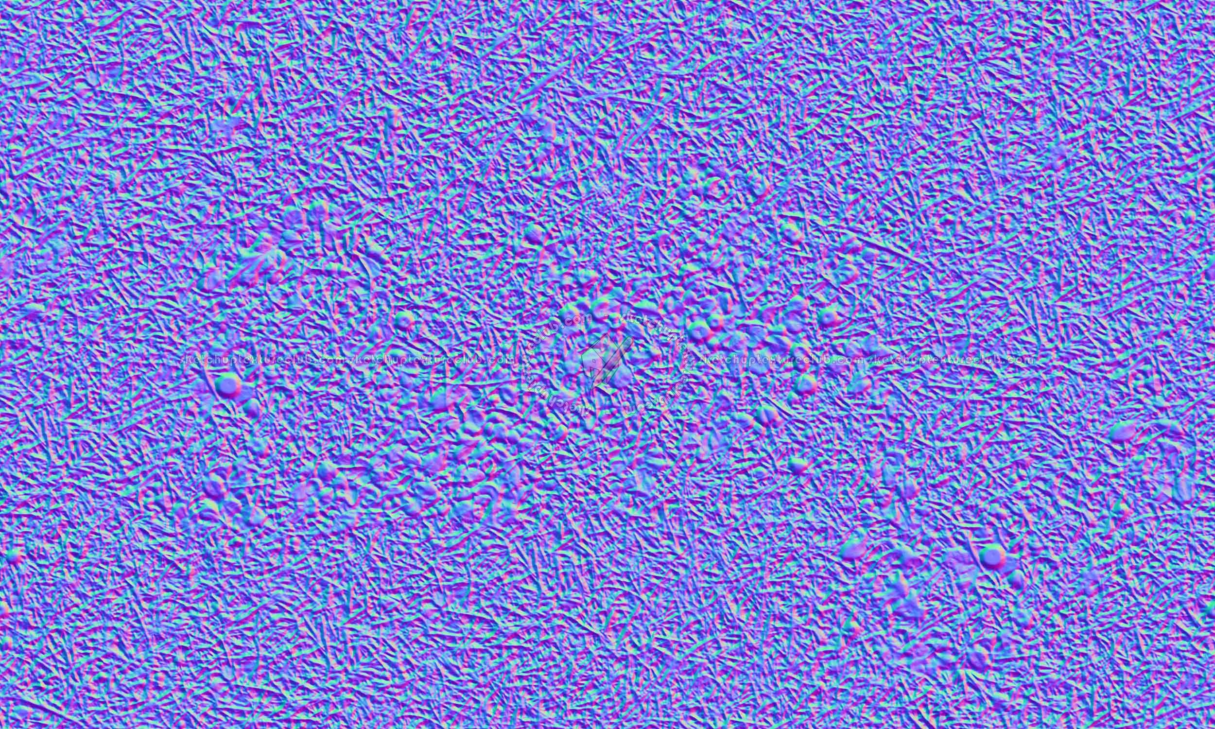 Textures   -   NATURE ELEMENTS   -   VEGETATION   -   Green grass  - Green grass with mushrooms texture seamless 19278 - Normal