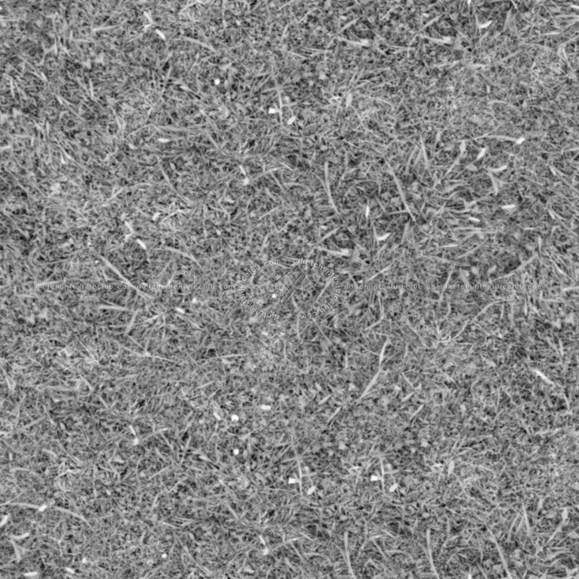 Textures   -   NATURE ELEMENTS   -   VEGETATION   -   Green grass  - Green grass texture seamless 19524 - Displacement