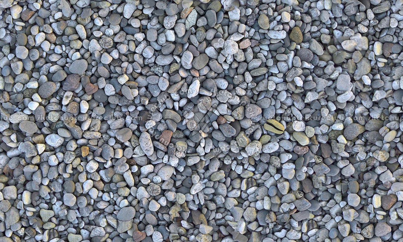 Textures   -   NATURE ELEMENTS   -   GRAVEL & PEBBLES  - Pebbles texture seamless 20656 (seamless)