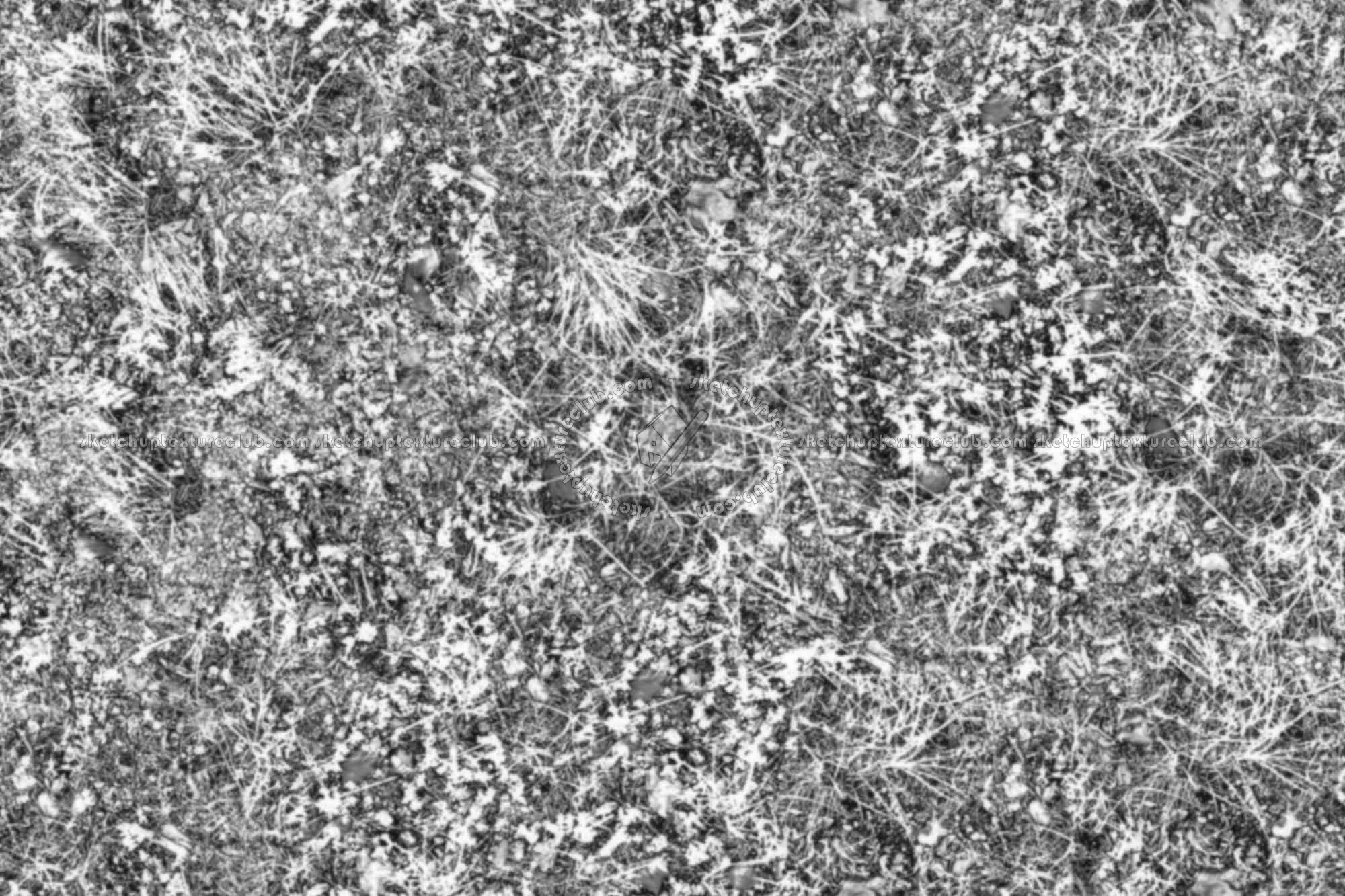 Textures   -   NATURE ELEMENTS   -   VEGETATION   -   Green grass  - Wild grass texture seamless 19525 - Displacement