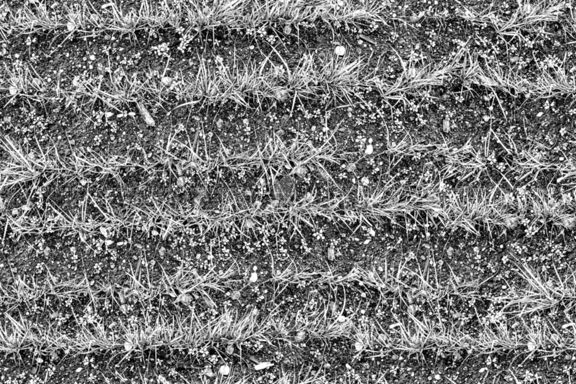 Textures   -   NATURE ELEMENTS   -   VEGETATION   -   Green grass  - Grass rows texture seamless 19657 - Bump