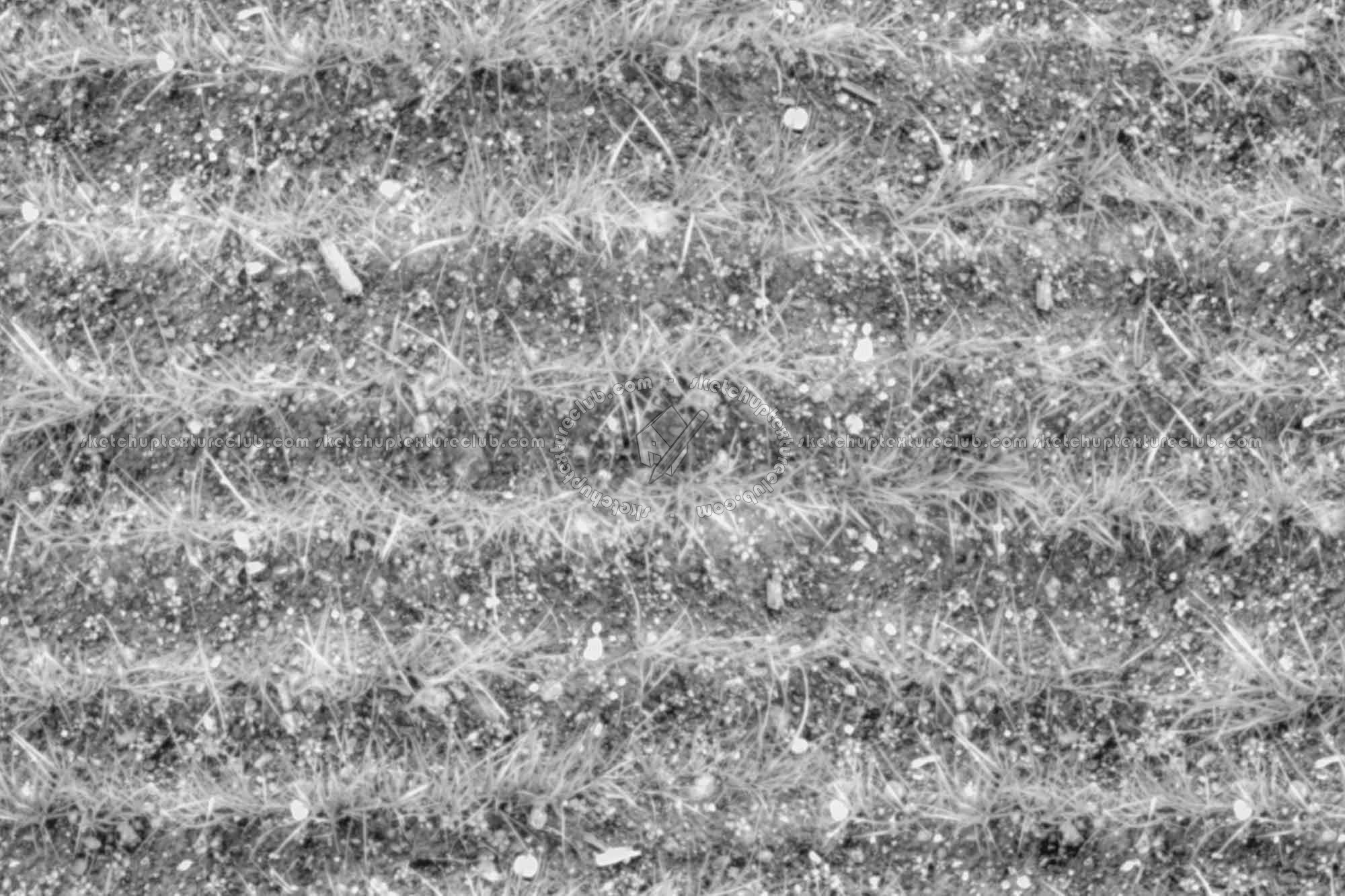 Textures   -   NATURE ELEMENTS   -   VEGETATION   -   Green grass  - Grass rows texture seamless 19657 - Displacement