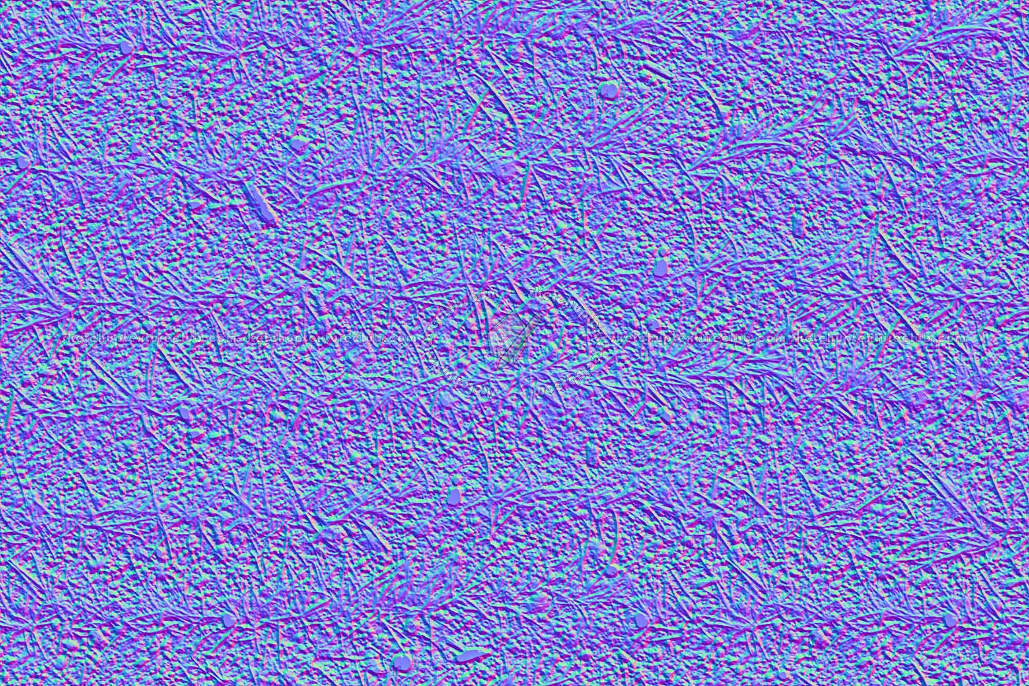 Textures   -   NATURE ELEMENTS   -   VEGETATION   -   Green grass  - Grass rows texture seamless 19657 - Normal