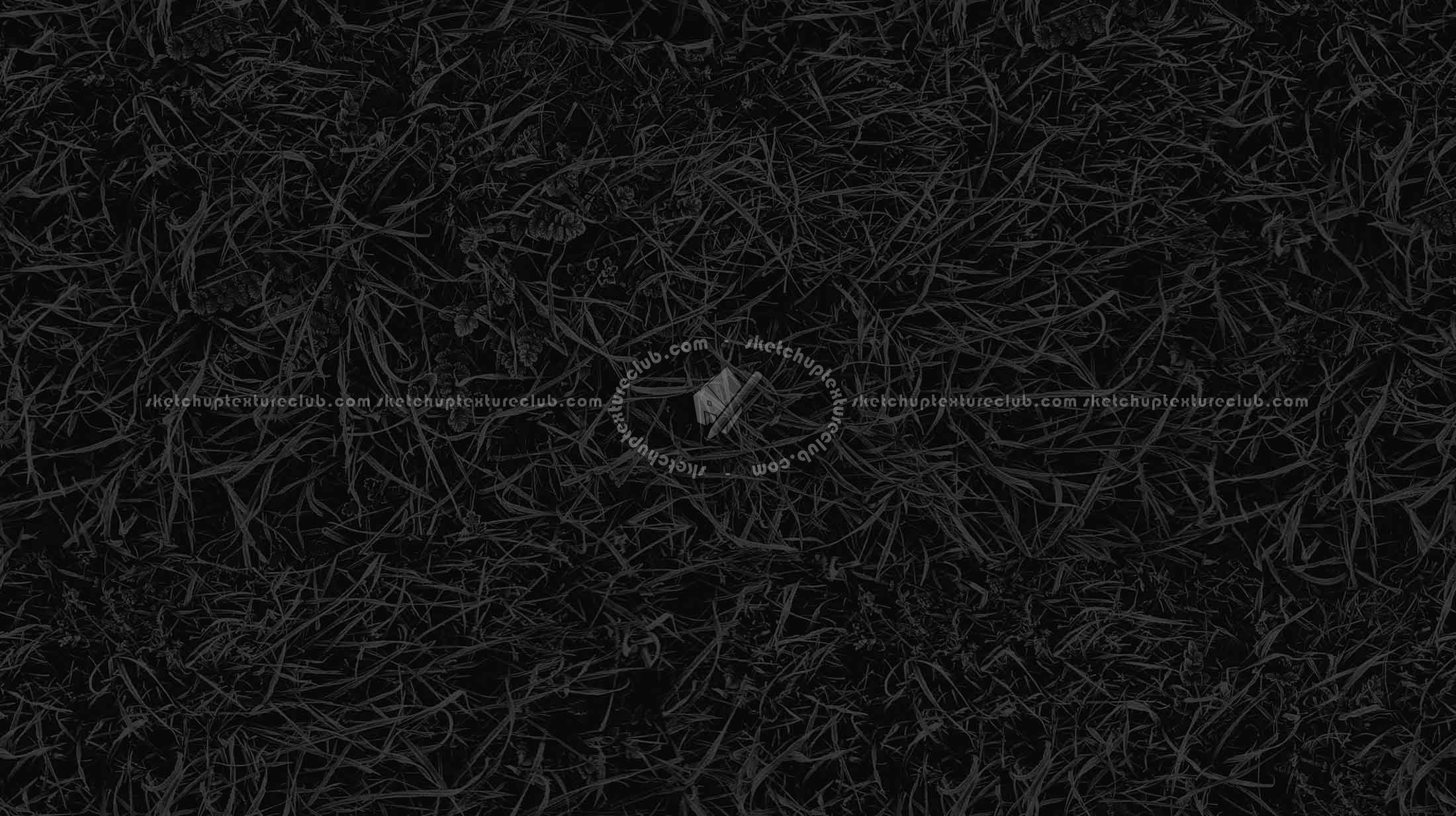 Textures   -   NATURE ELEMENTS   -   VEGETATION   -   Green grass  - Frozen grass texture seamless 19662 - Specular