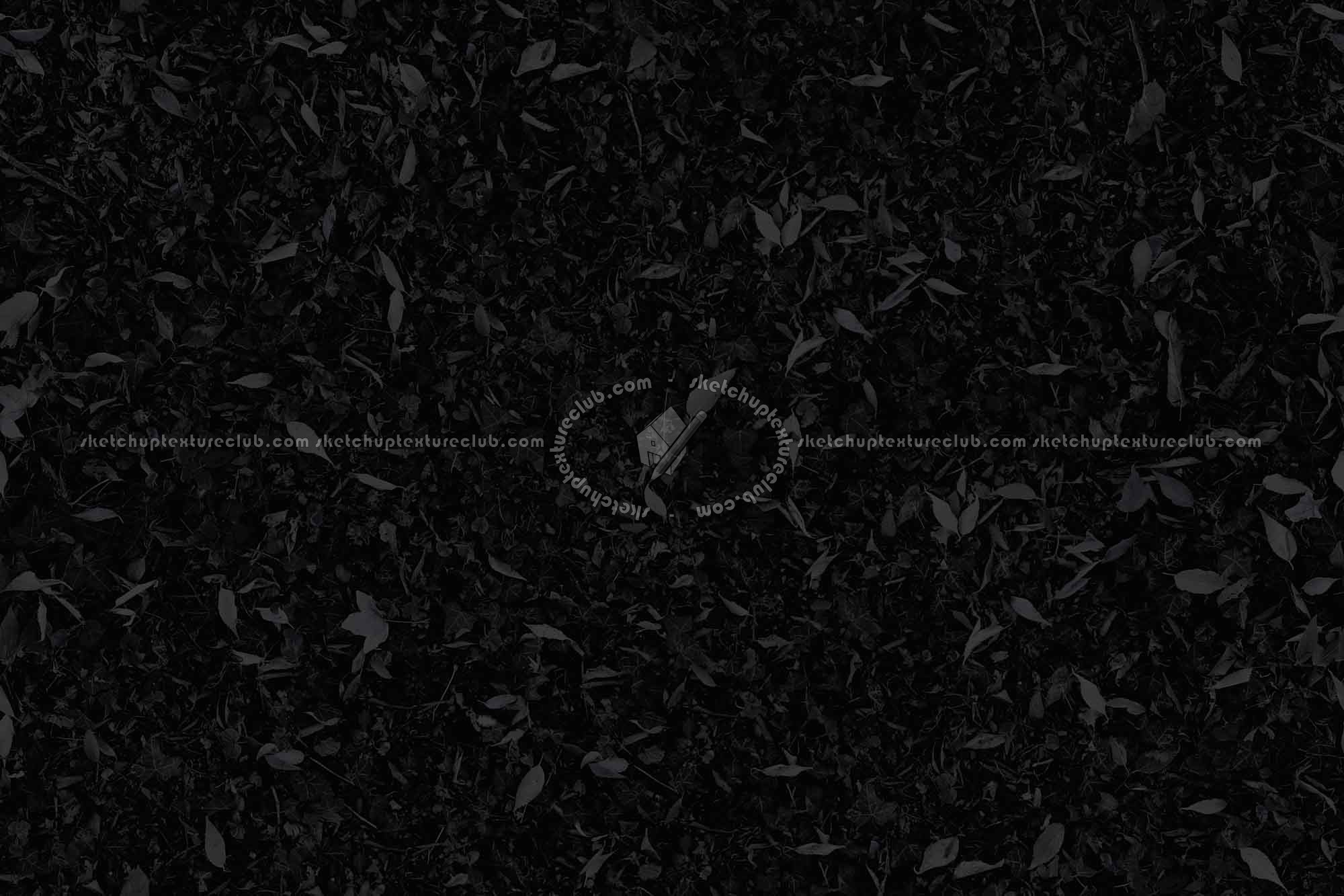 Textures   -   NATURE ELEMENTS   -   VEGETATION   -   Green grass  - Meadow with ivy leaves texture seamless 19669 - Specular