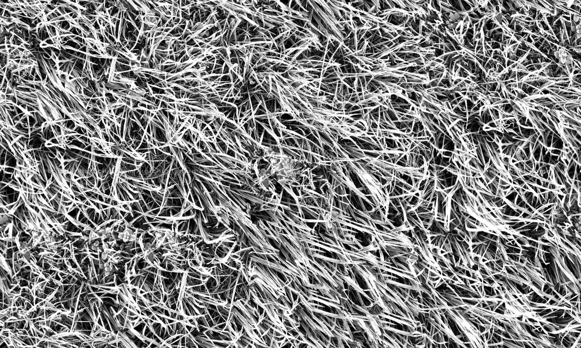 Textures   -   NATURE ELEMENTS   -   VEGETATION   -   Green grass  - Frozen grass texture seamless 19672 - Bump
