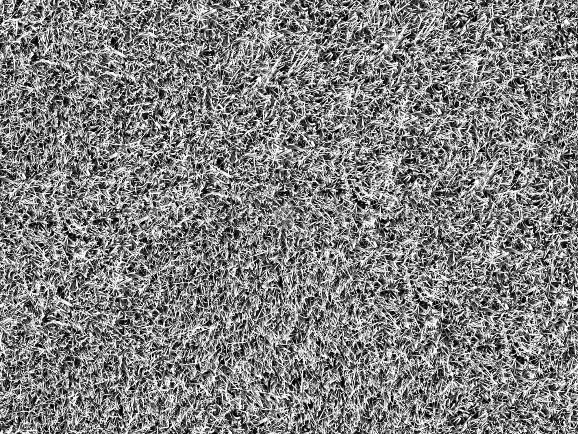 Textures   -   NATURE ELEMENTS   -   VEGETATION   -   Green grass  - Clippings grass texture seamless 20522 - Bump