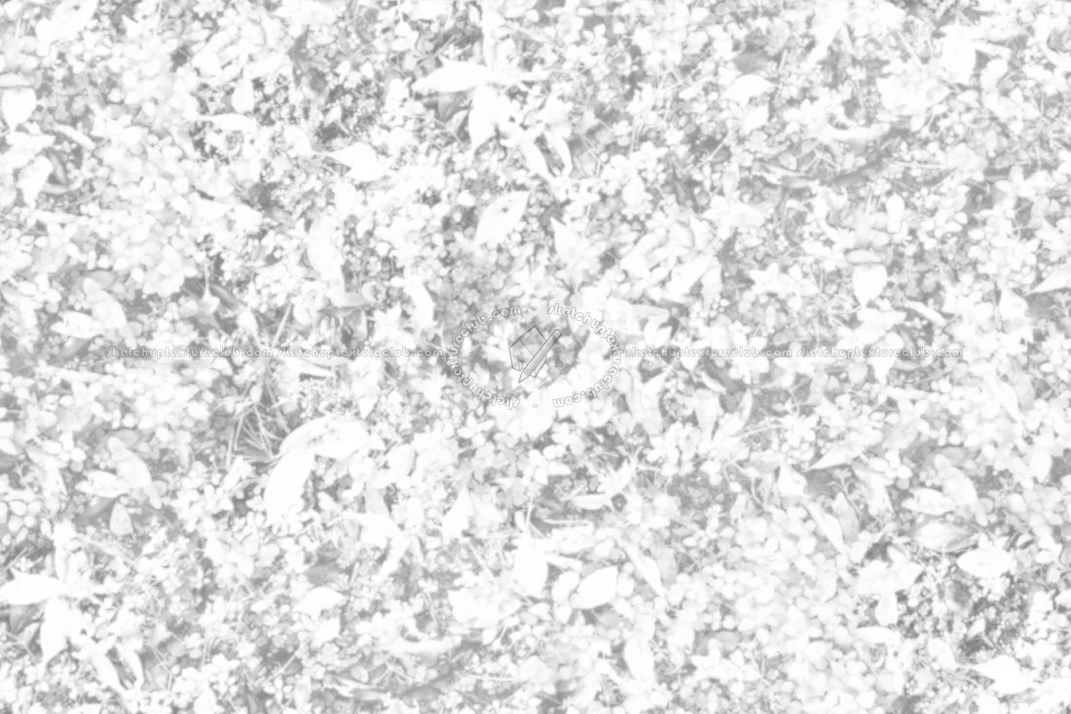 Textures   -   NATURE ELEMENTS   -   VEGETATION   -   Green grass  - Understory grass texture seamless 20655 - Ambient occlusion