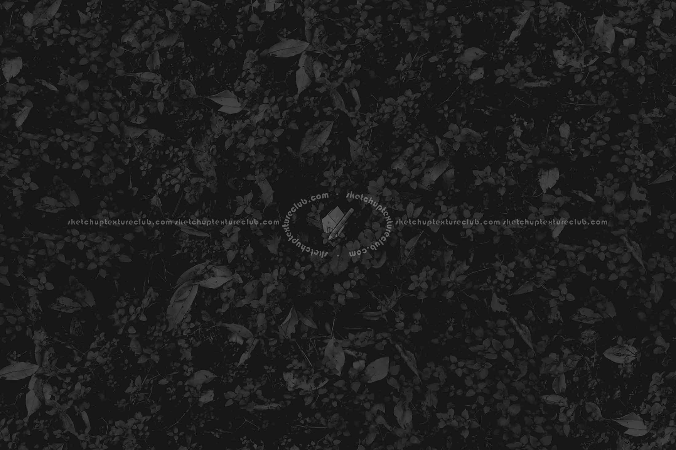 Textures   -   NATURE ELEMENTS   -   VEGETATION   -   Green grass  - Understory grass texture seamless 20655 - Specular