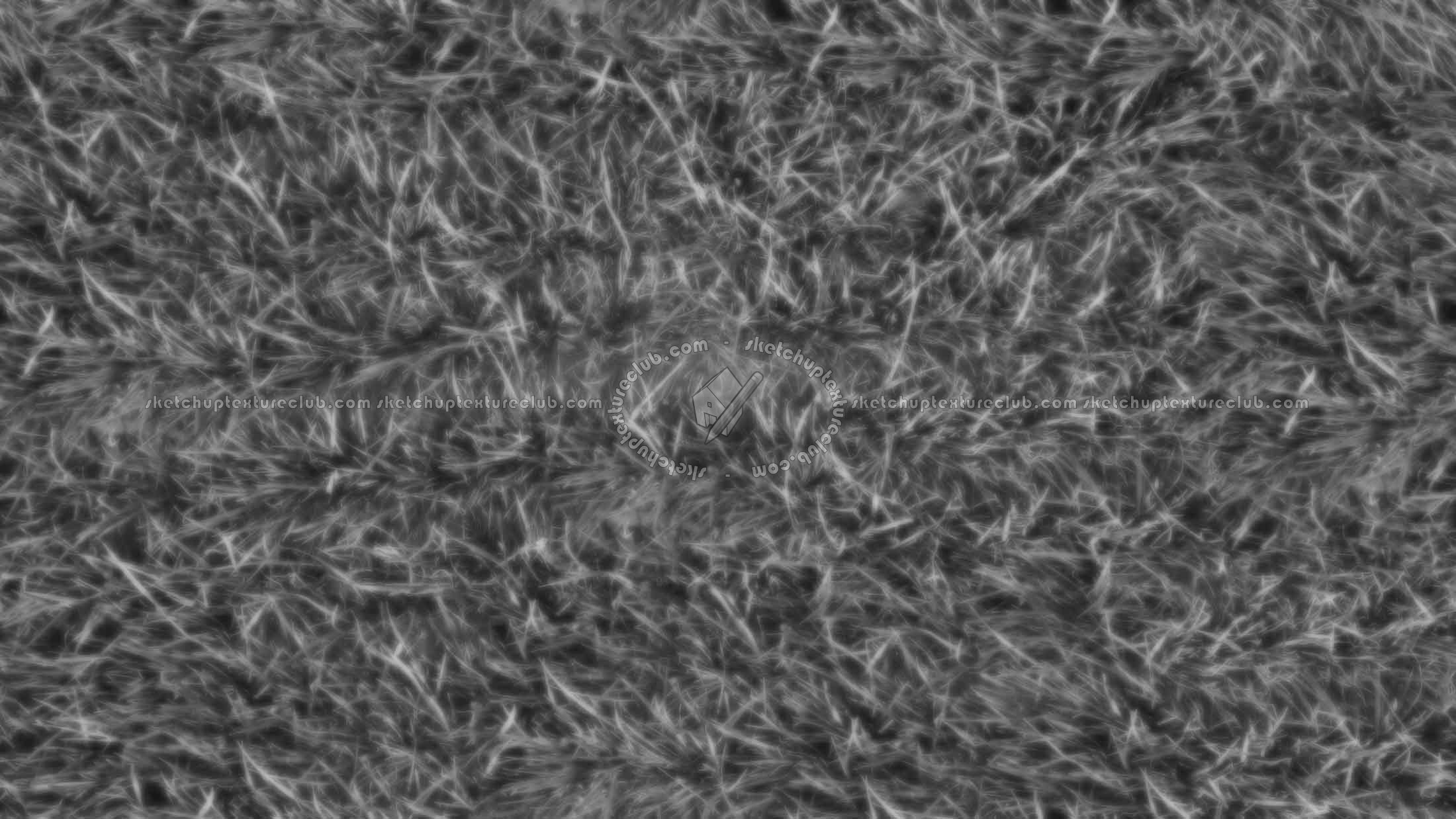 Textures - NATURE ELEMENTS - VEGETATION - Green grass - Green grass texture seamless 20771 - Displacement