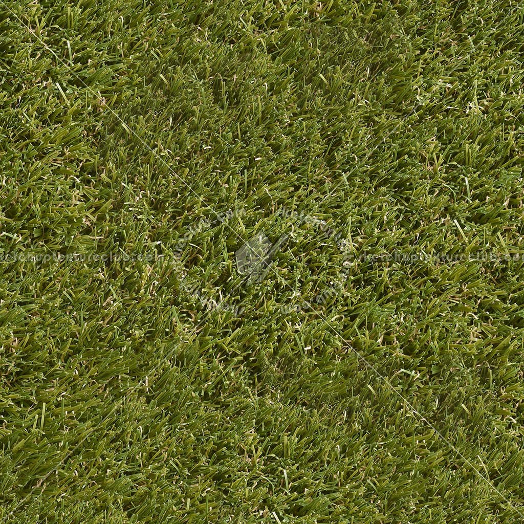 Textures   -   NATURE ELEMENTS   -   VEGETATION   -   Green grass  - alpine green grass texture seamless 21346