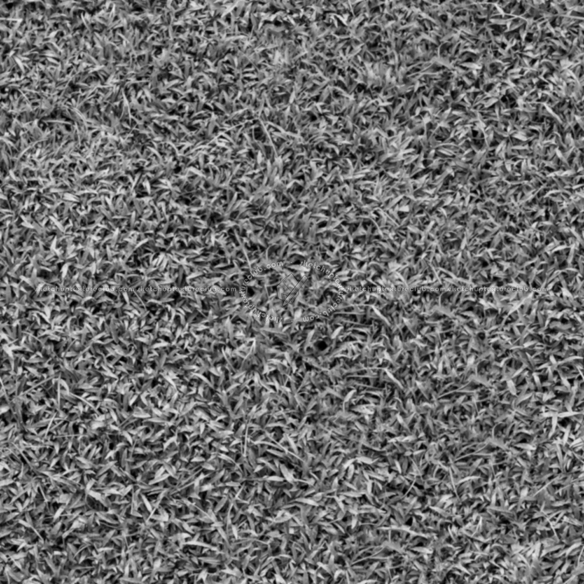 Textures   -   NATURE ELEMENTS   -   VEGETATION   -   Green grass  - Green grass texture seamless 21349 - Bump