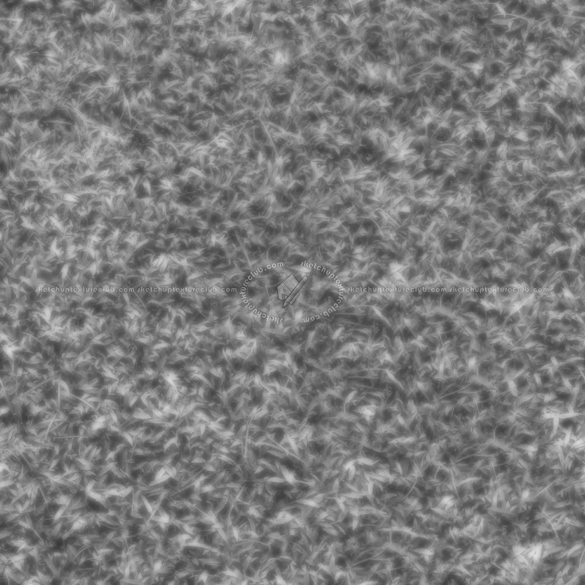 Textures   -   NATURE ELEMENTS   -   VEGETATION   -   Green grass  - Green grass texture seamless 21349 - Displacement