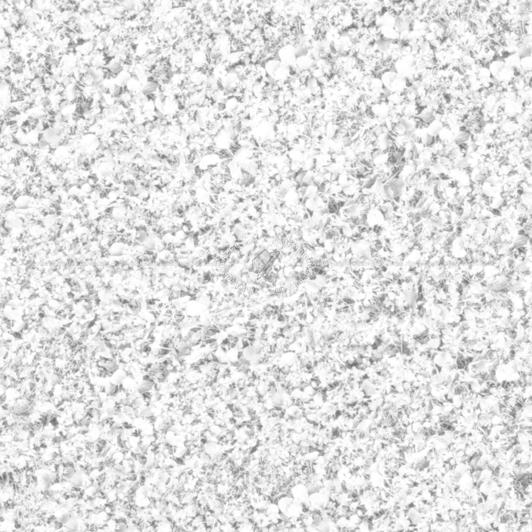 Textures - NATURE ELEMENTS - VEGETATION - Green grass - Grass PBR texture seamless 21453 - Ambient occlusion