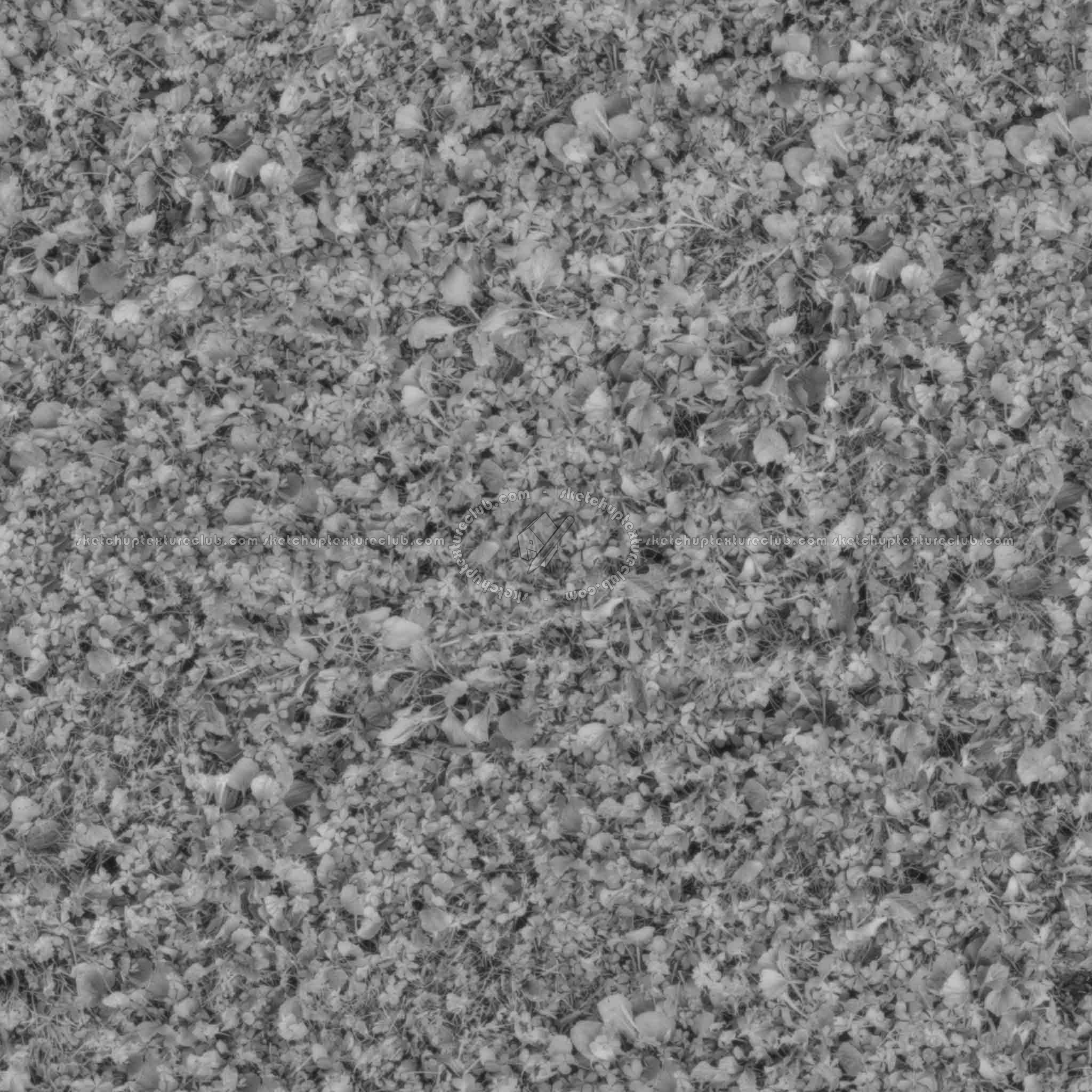 Textures - NATURE ELEMENTS - VEGETATION - Green grass - Grass PBR texture seamless 21453 - Displacement