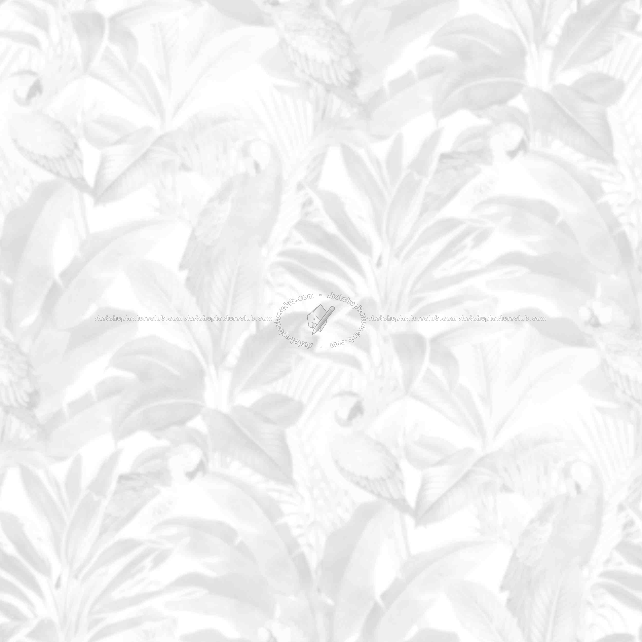 Textures - MATERIALS - WALLPAPER - various patterns - Exotic parrots wallpaper texture seamless 20929 - Ambient occlusion