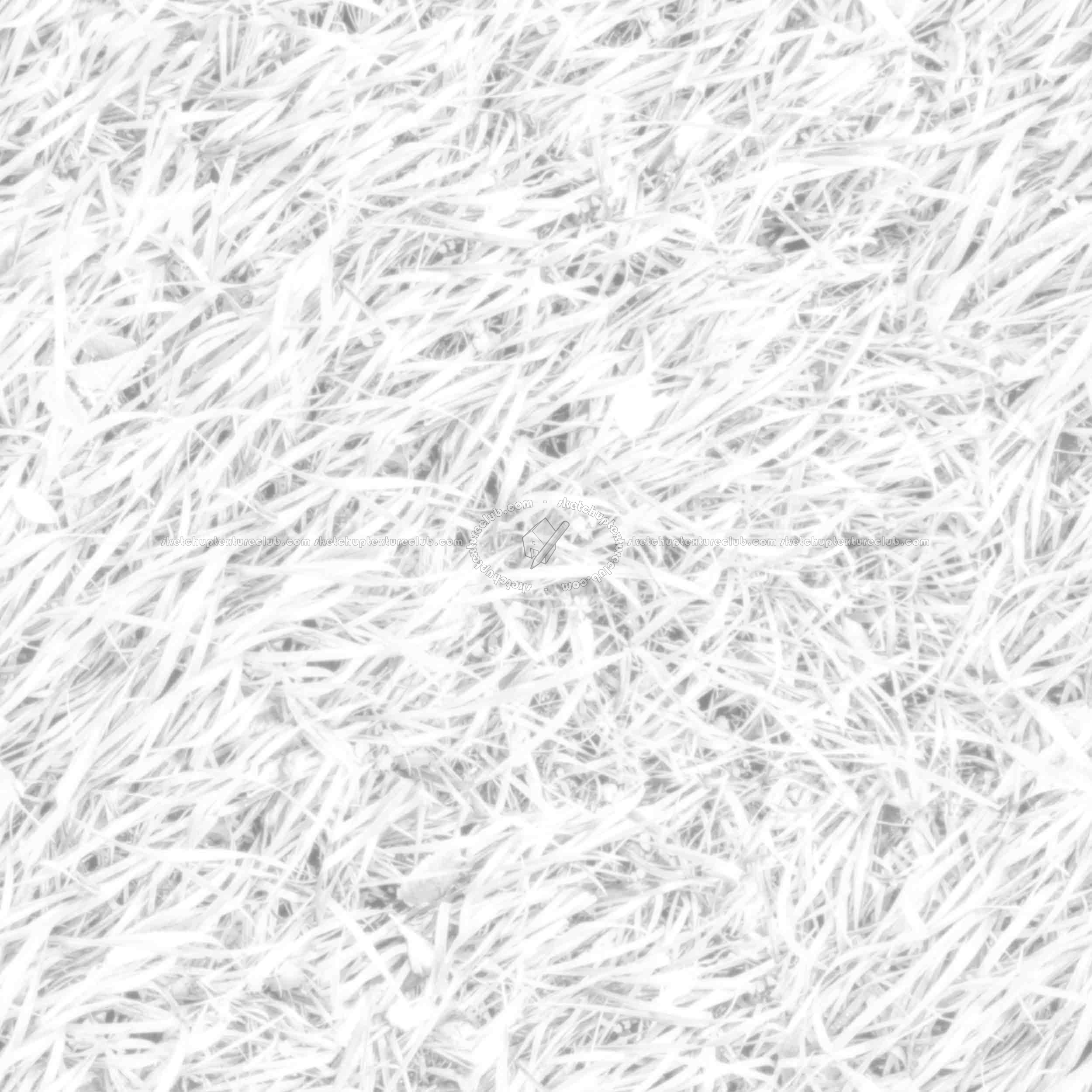 Textures - NATURE ELEMENTS - VEGETATION - Green grass - Green grass PBR texture seamless 21693 - Ambient occlusion