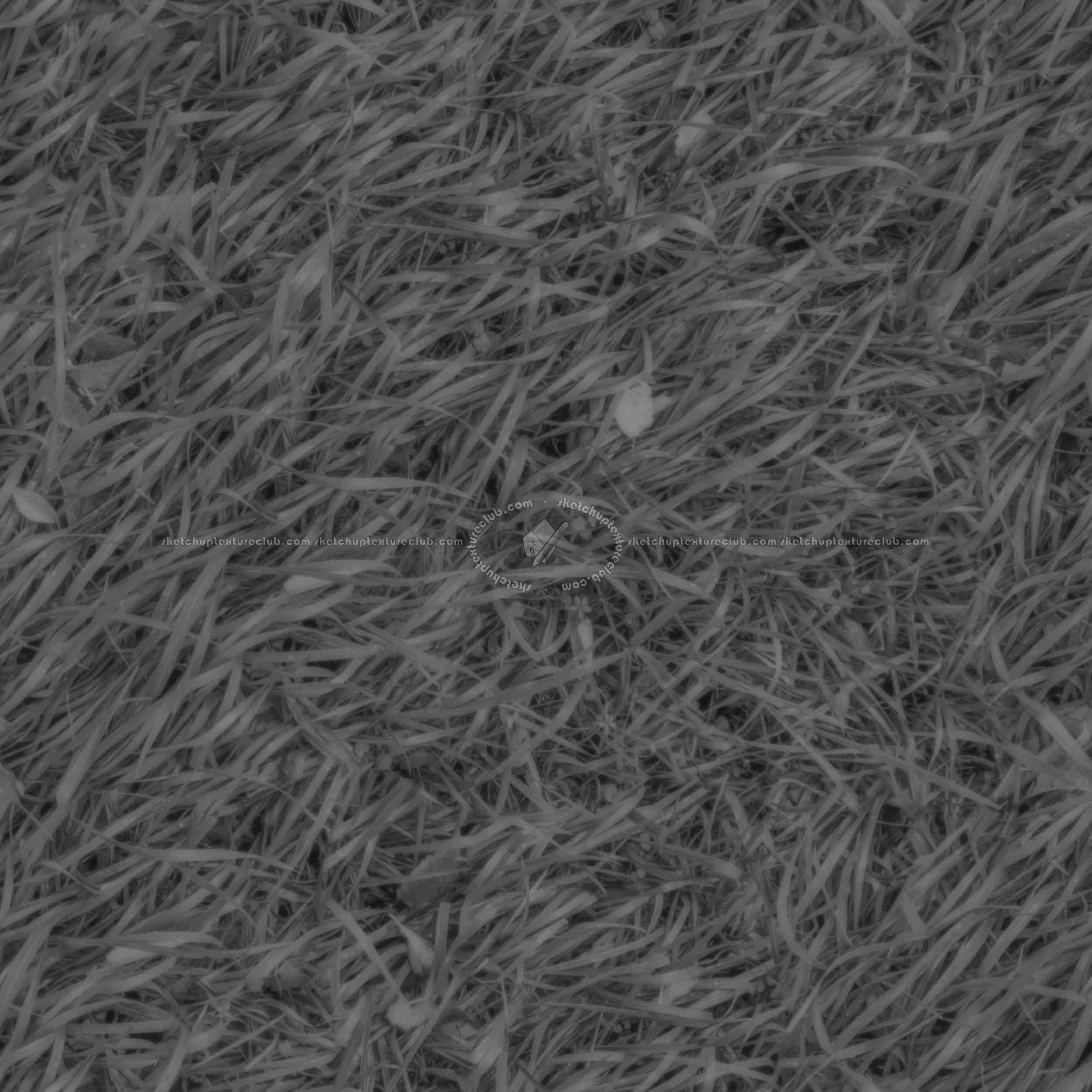 Textures - NATURE ELEMENTS - VEGETATION - Green grass - Green grass PBR texture seamless 21693 - Displacement