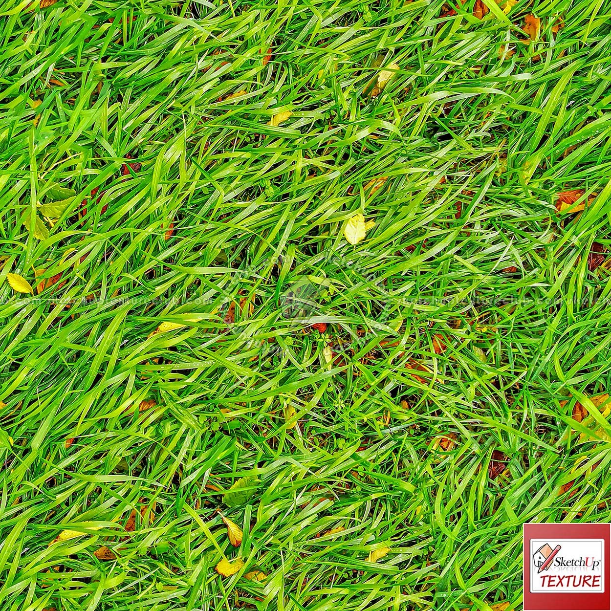 Textures - NATURE ELEMENTS - VEGETATION - Green grass - Green grass PBR texture seamless 21693