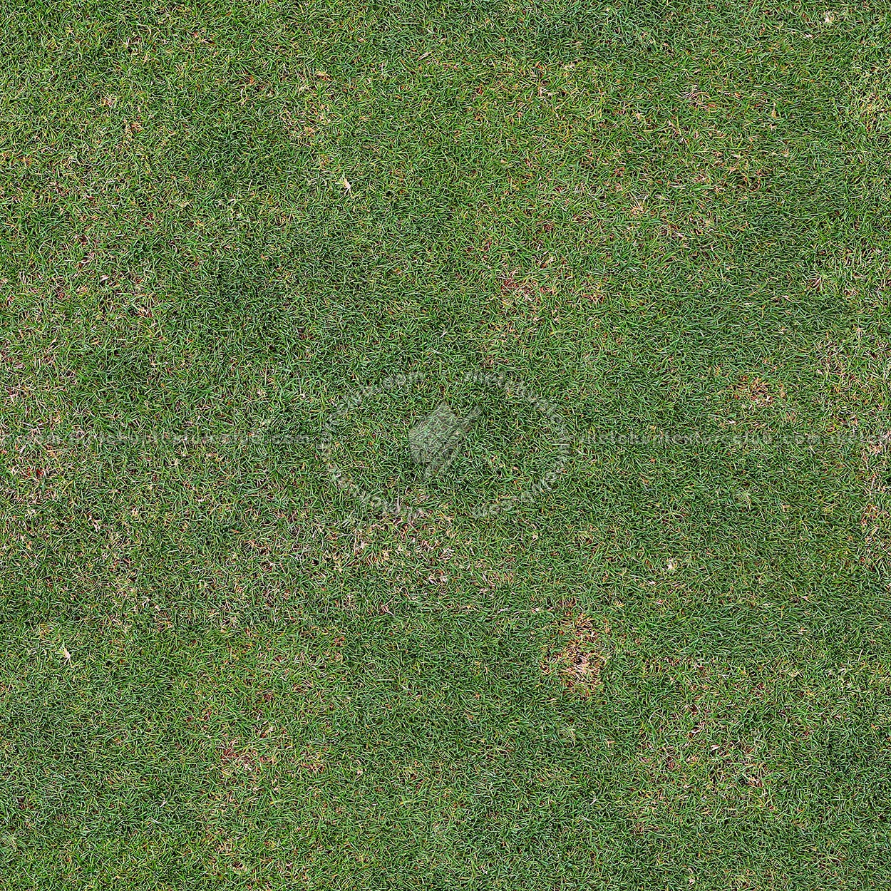 Textures   -   NATURE ELEMENTS   -   VEGETATION   -   Green grass  - Green grass PBR texture seamless 21999 (seamless)