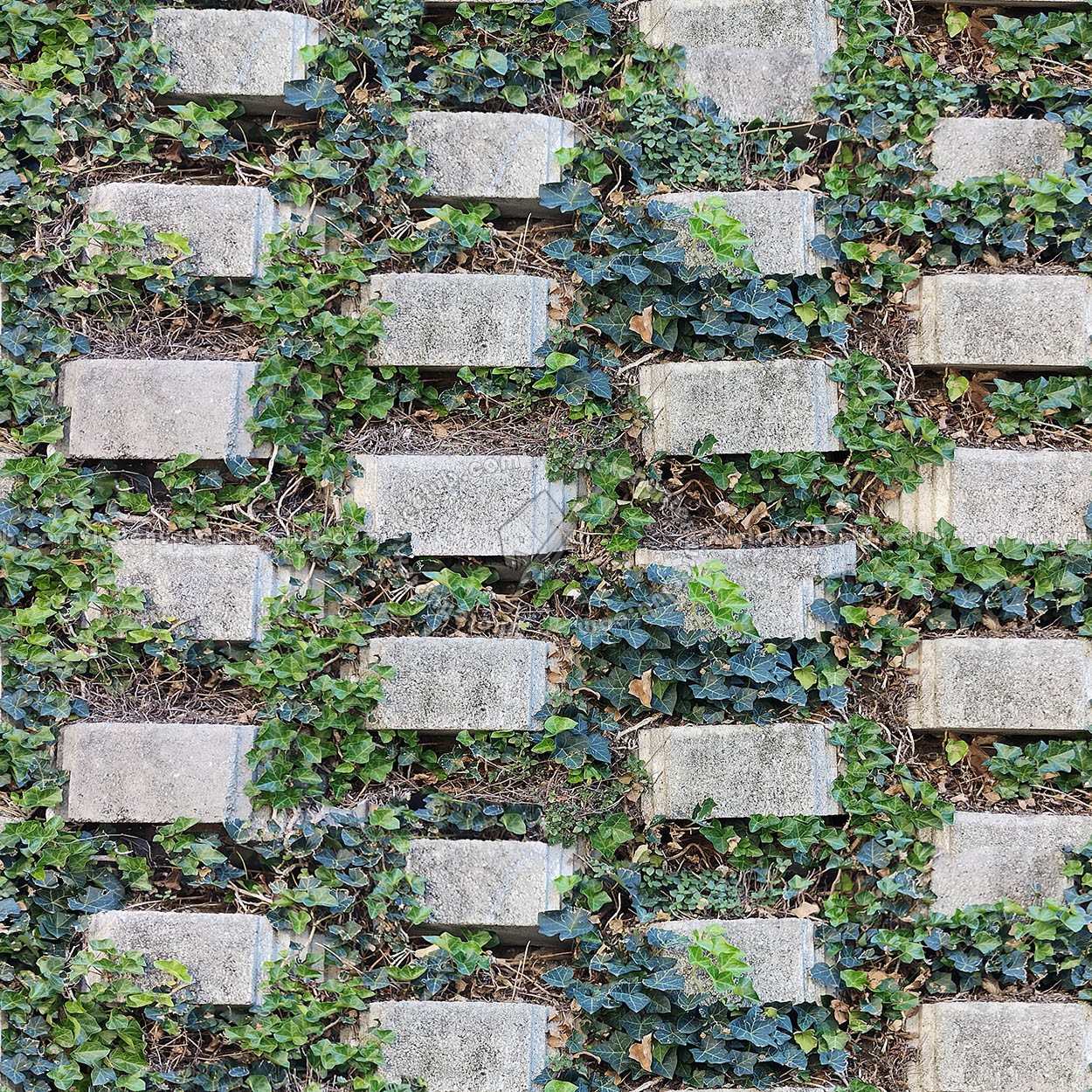 Textures   -   ARCHITECTURE   -   CONCRETE   -   Plates   -   Clean  - Retaining wall with grass texture seamless 22393 (seamless)