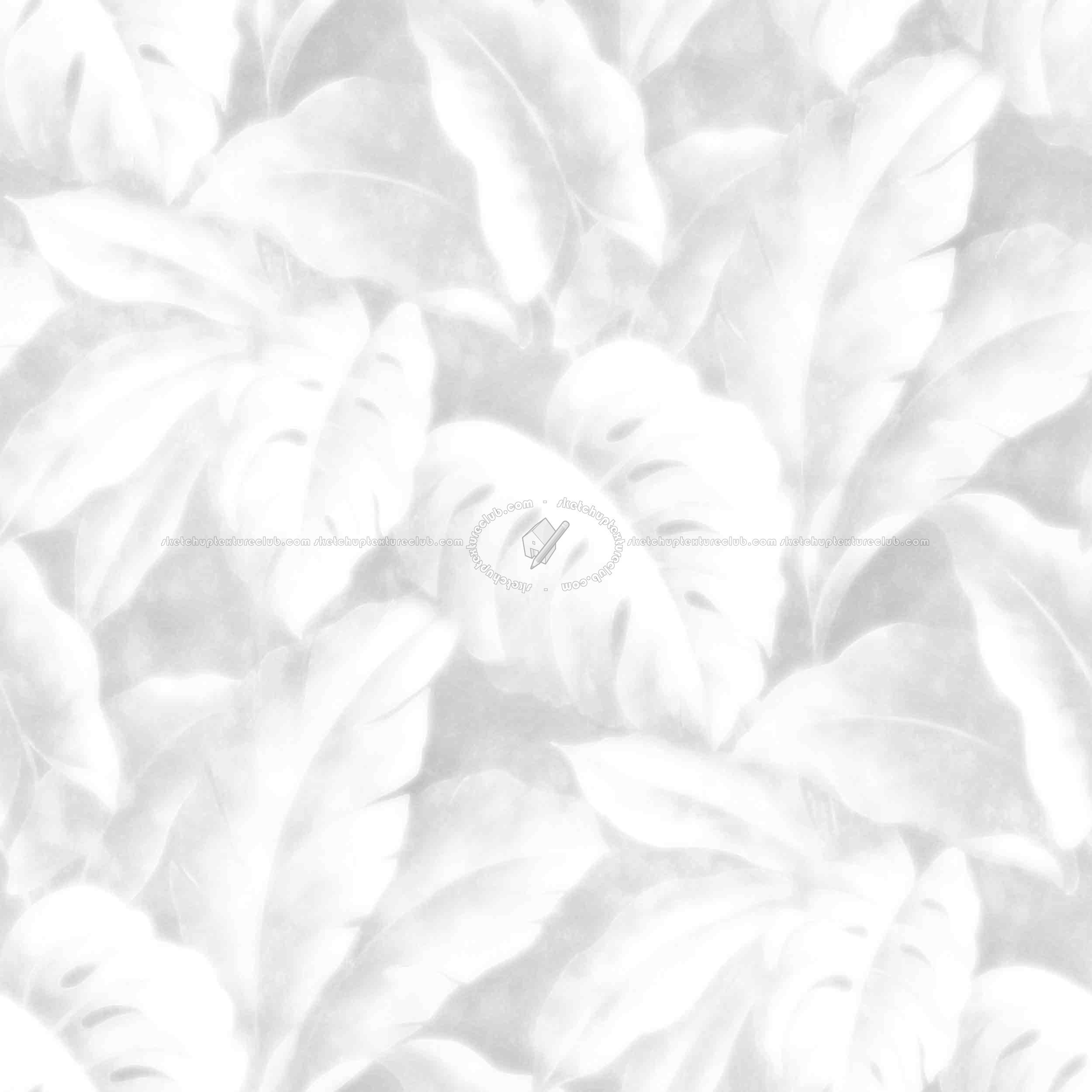 Textures   -   MATERIALS   -   WALLPAPER   -   various patterns  - Tropical leaves wallpaper texture seamless 20933 - Ambient occlusion
