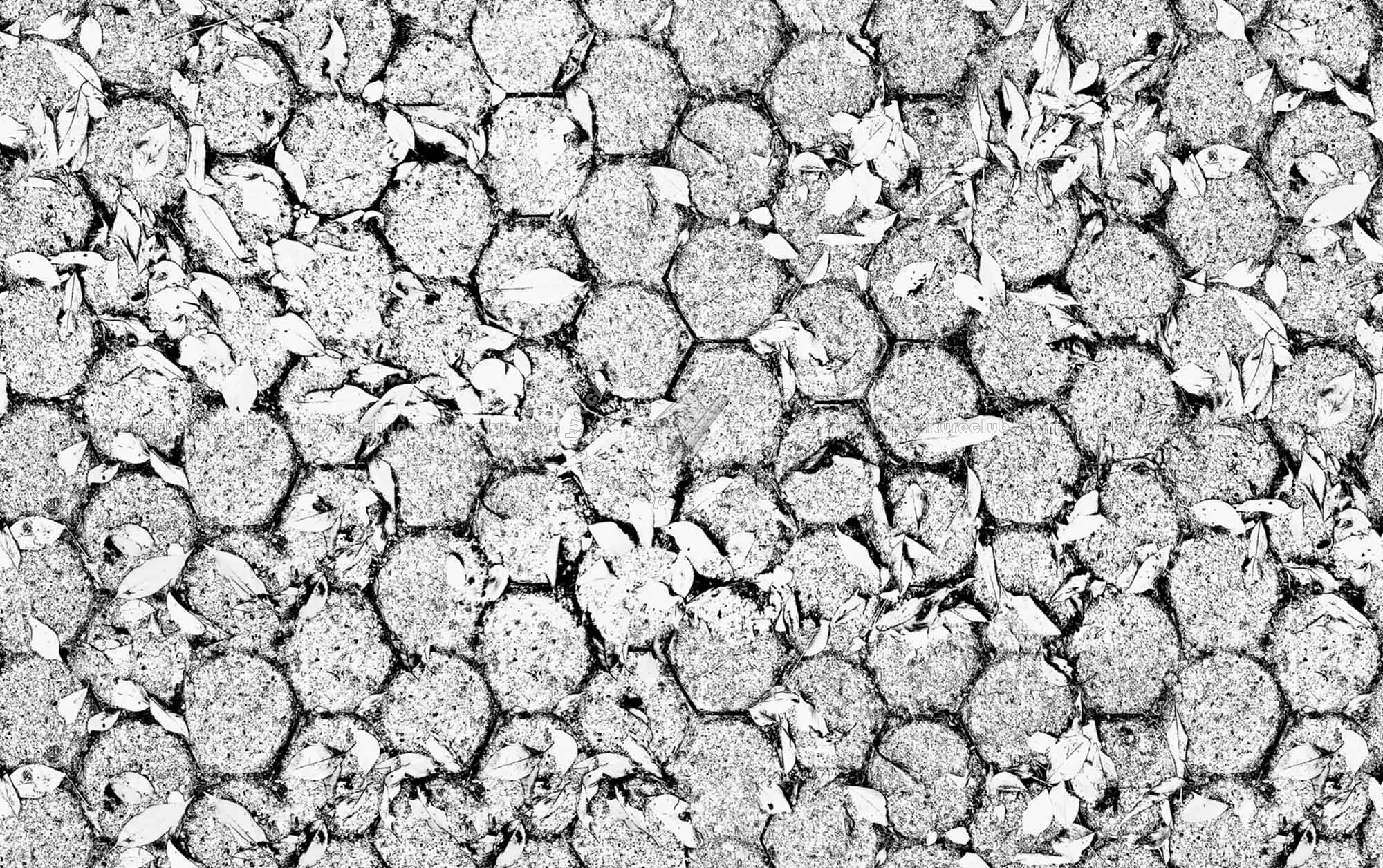 Textures   -   ARCHITECTURE   -   PAVING OUTDOOR   -   Concrete   -   Blocks regular  - Concrete paving outdoor with dead leaves texture seamless 19253 - Bump