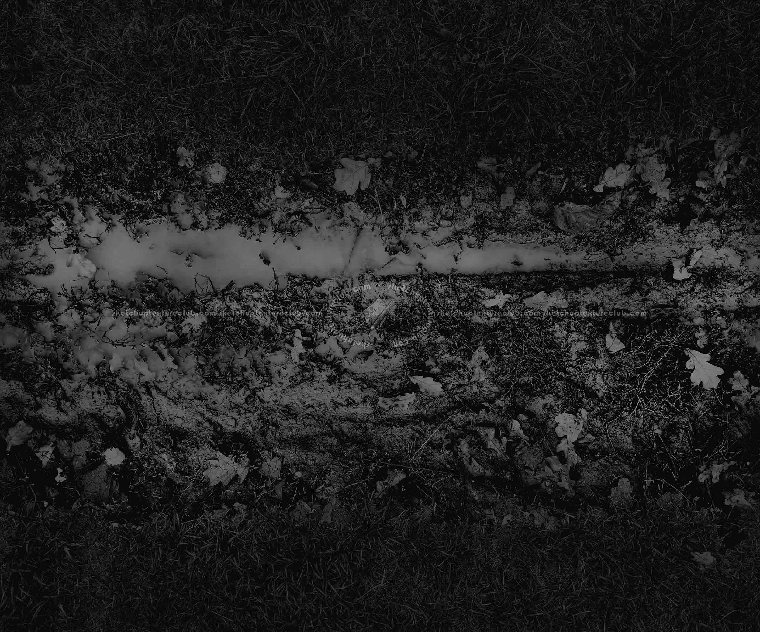 Textures   -   ARCHITECTURE   -   ROADS   -   Dirt Roads  - Dirt road with mud texture seamless 20470 - Specular