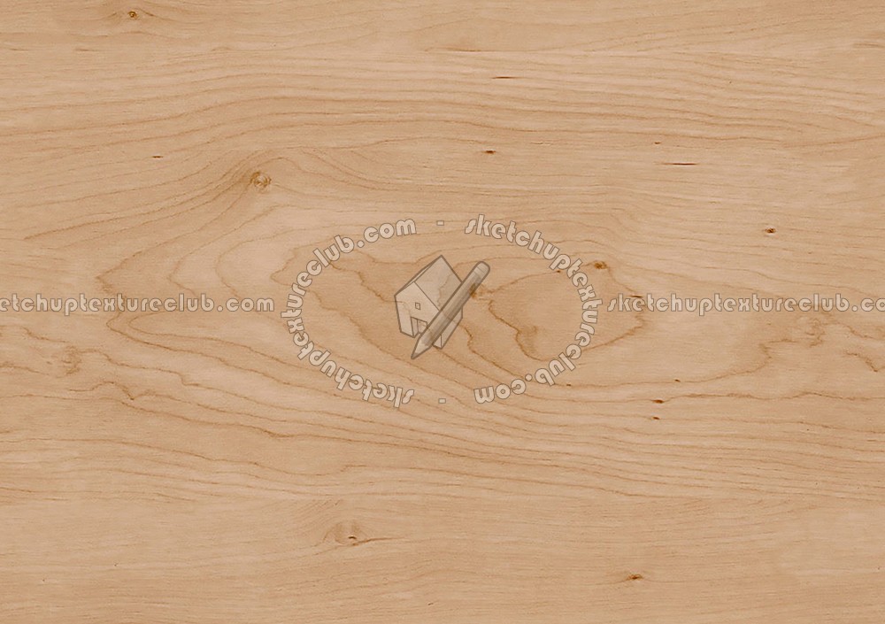 Textures   -   ARCHITECTURE   -   WOOD   -   Fine wood   -   Light wood  - Natural light wood fine texture seamless 04309 (seamless)